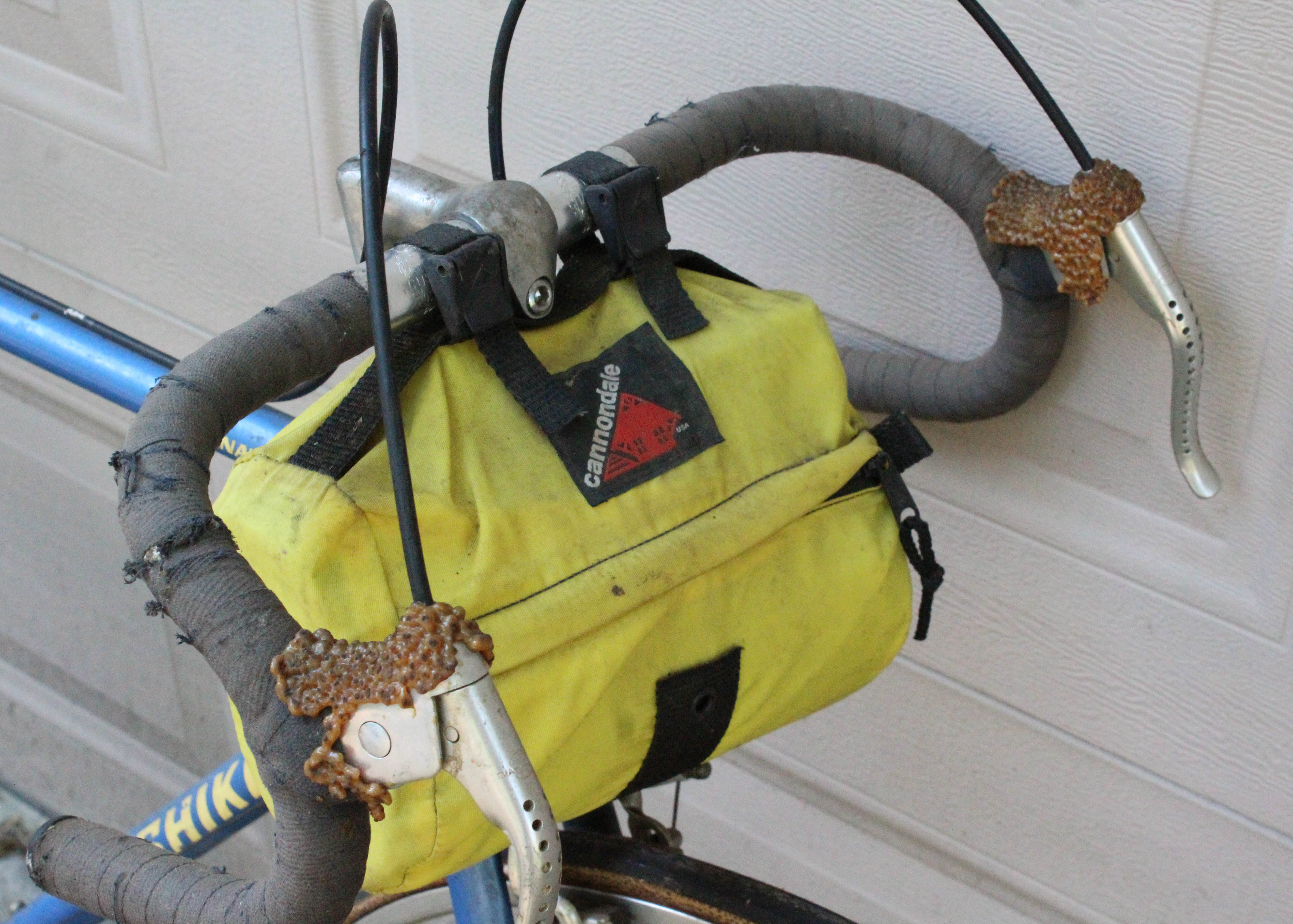 Vintage Nishiki Road Bicycle