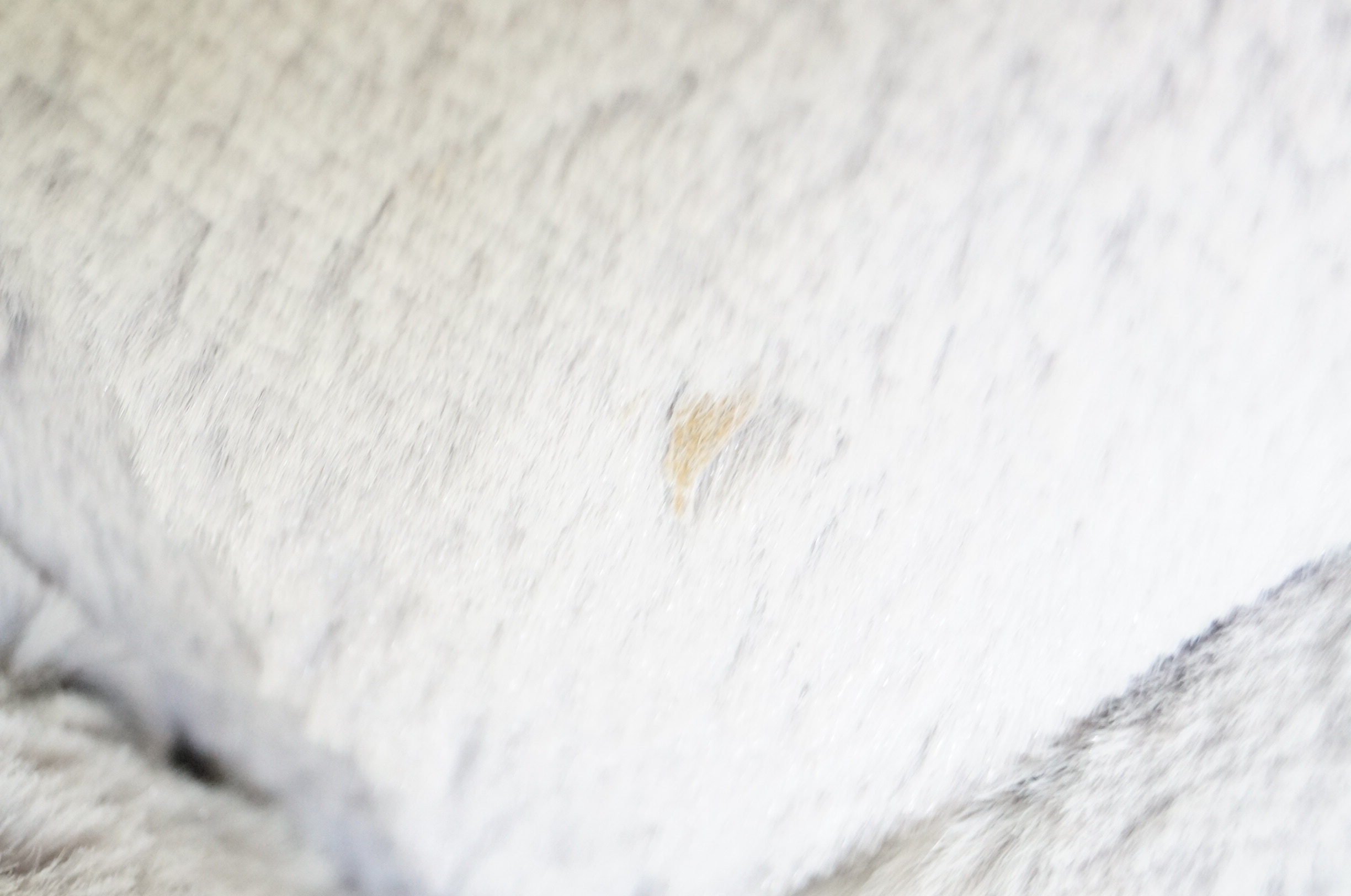 Basket of Stuffed Animals and Sleep Sheep