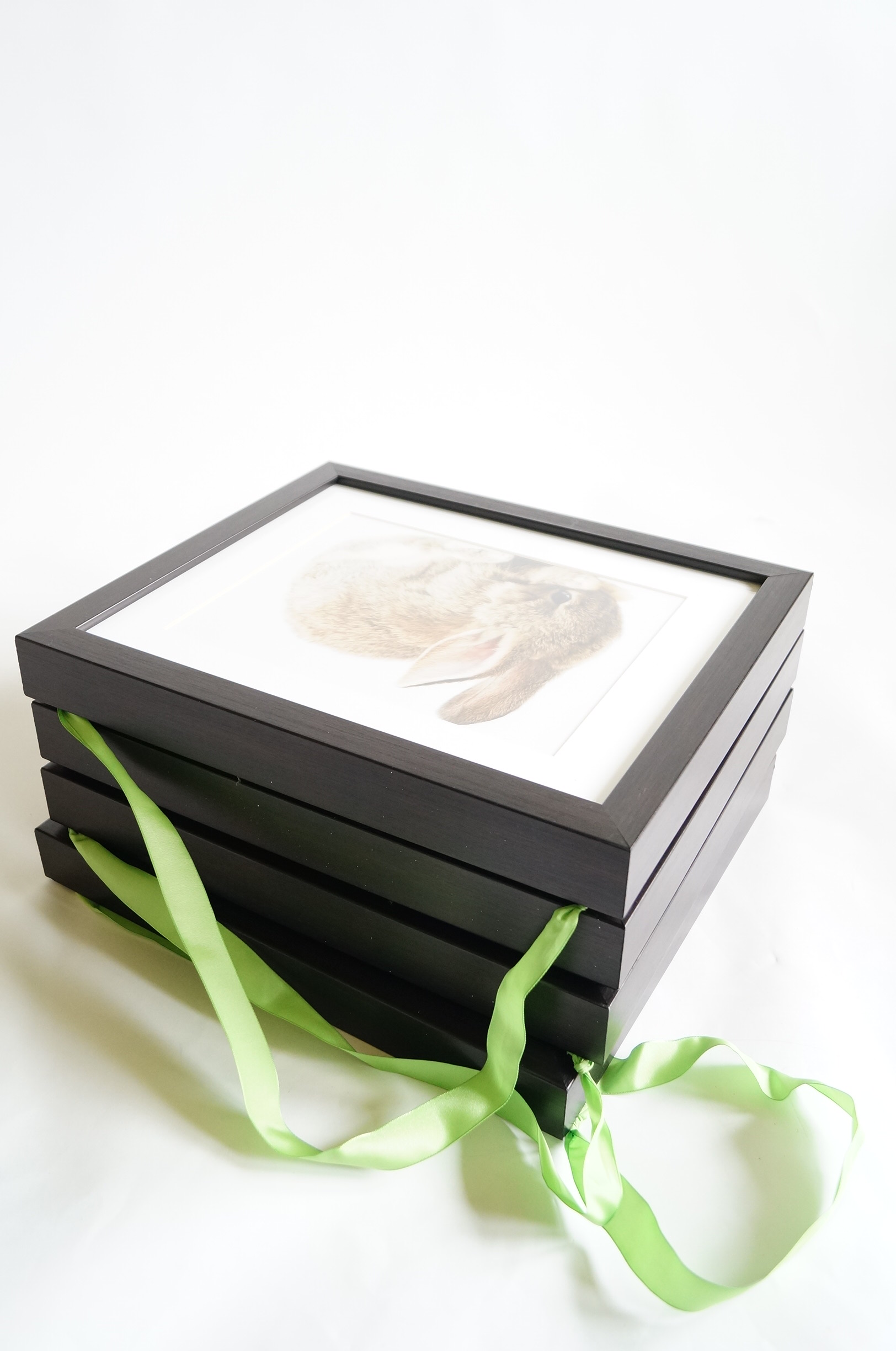 Four Baby Animal Photographs