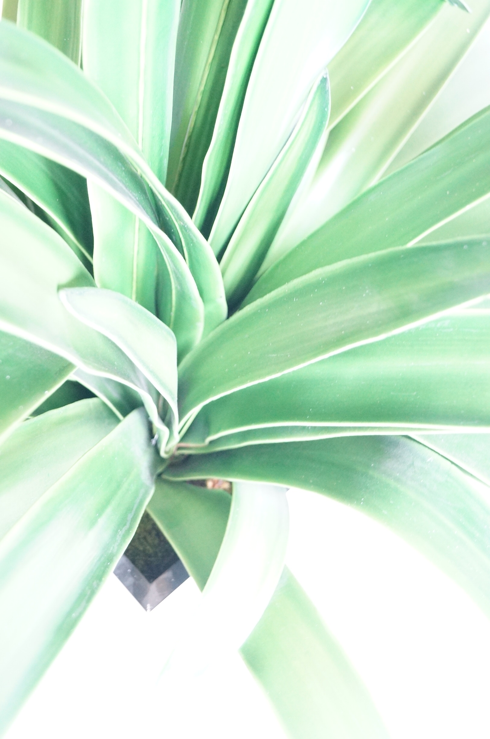 Large Faux Plant in Metal Container