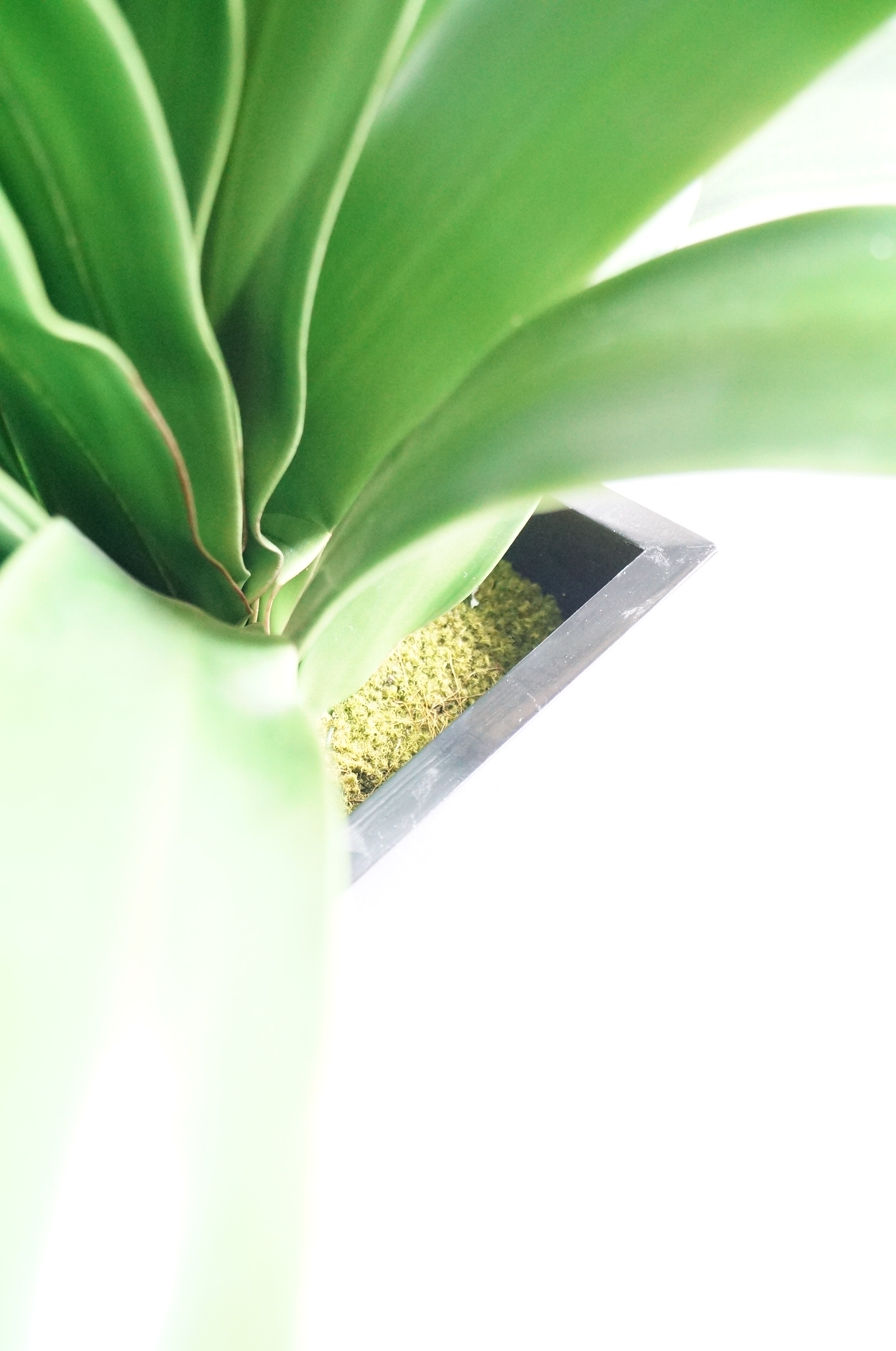 Large Faux Plant in Metal Container