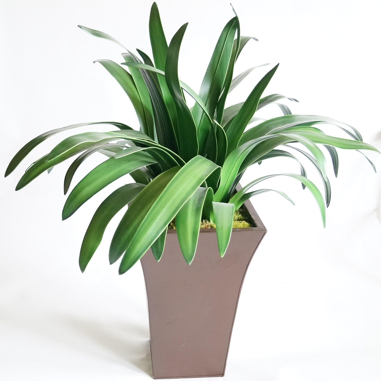 Artificial Plant