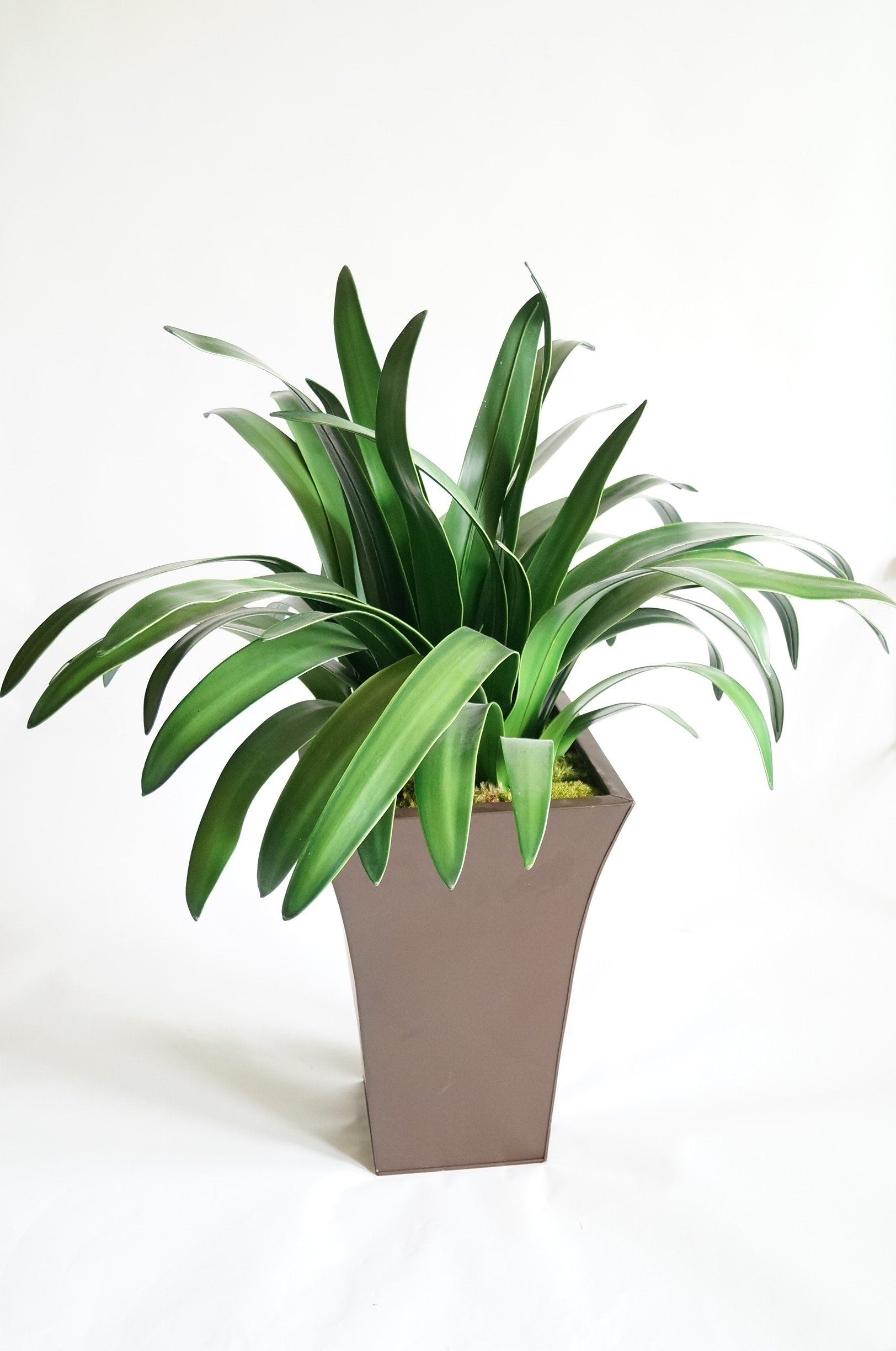 Artificial Plant