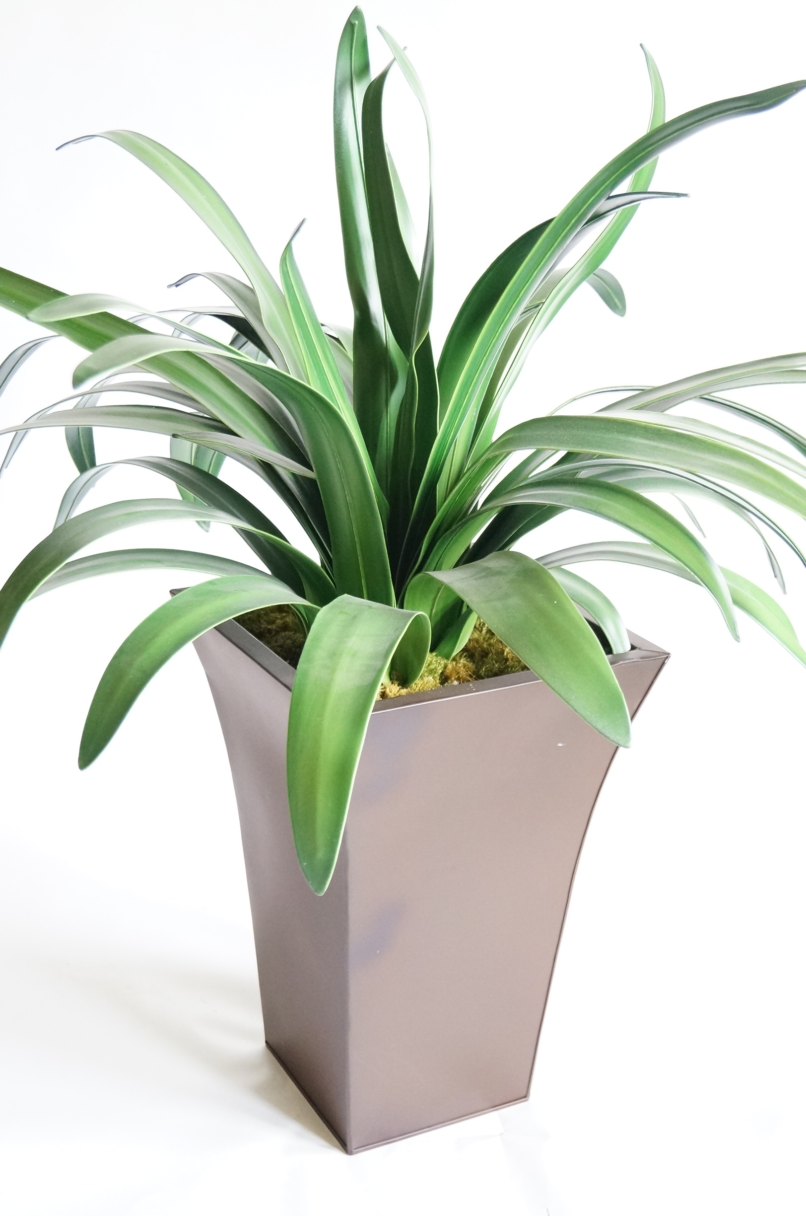 Artificial Plant