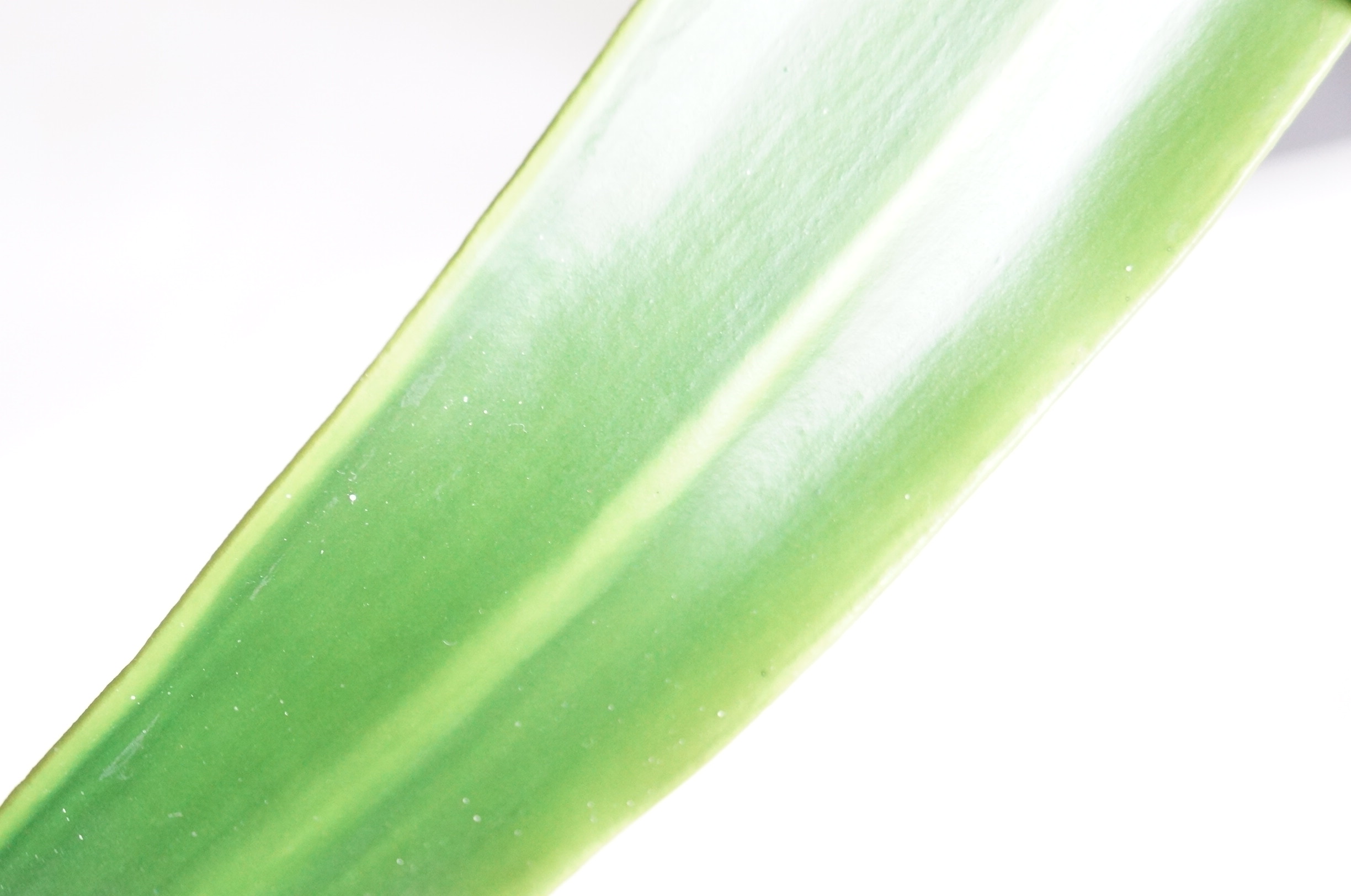 Artificial Green Plant in Metal Container