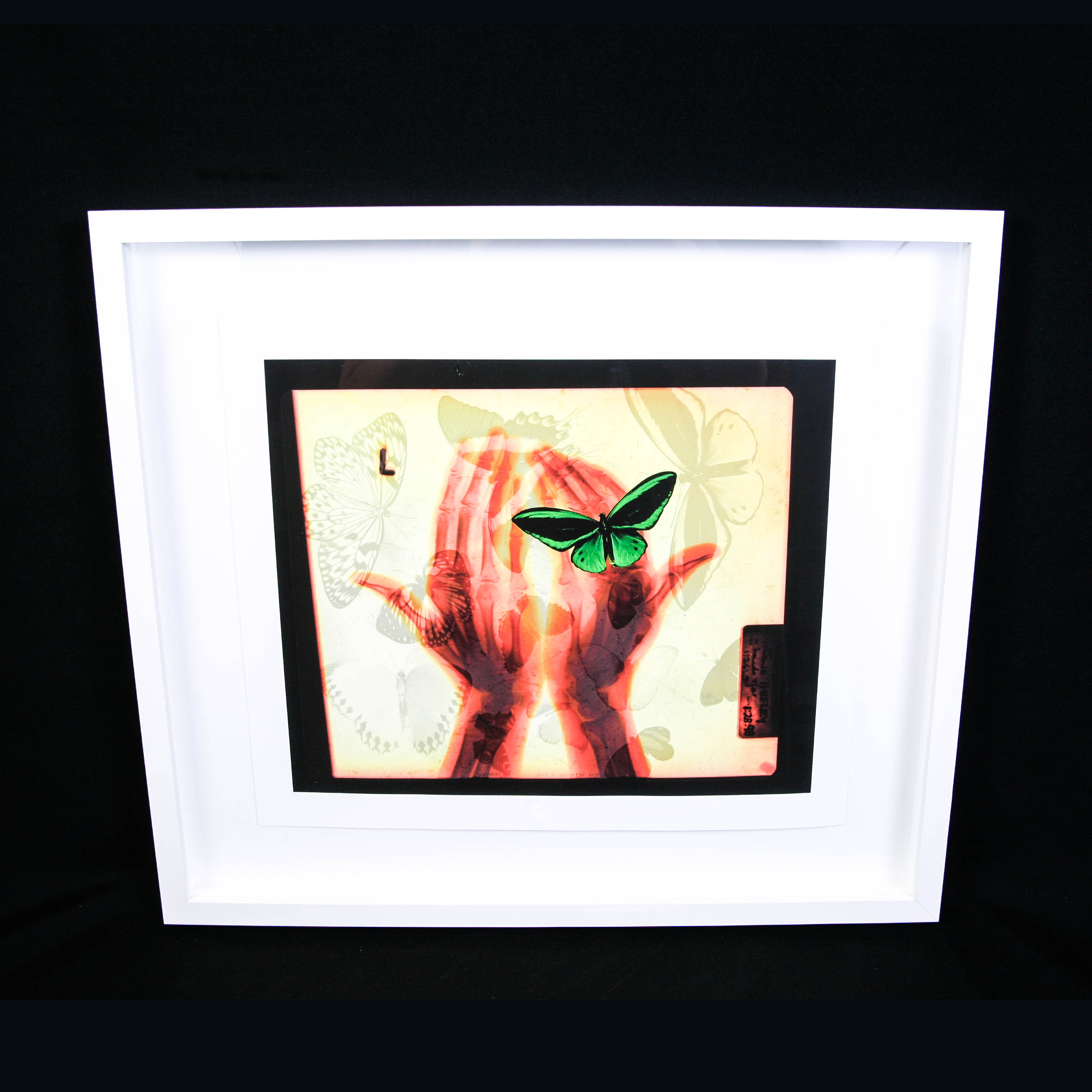 Modern Butterfly Print Shadowbox