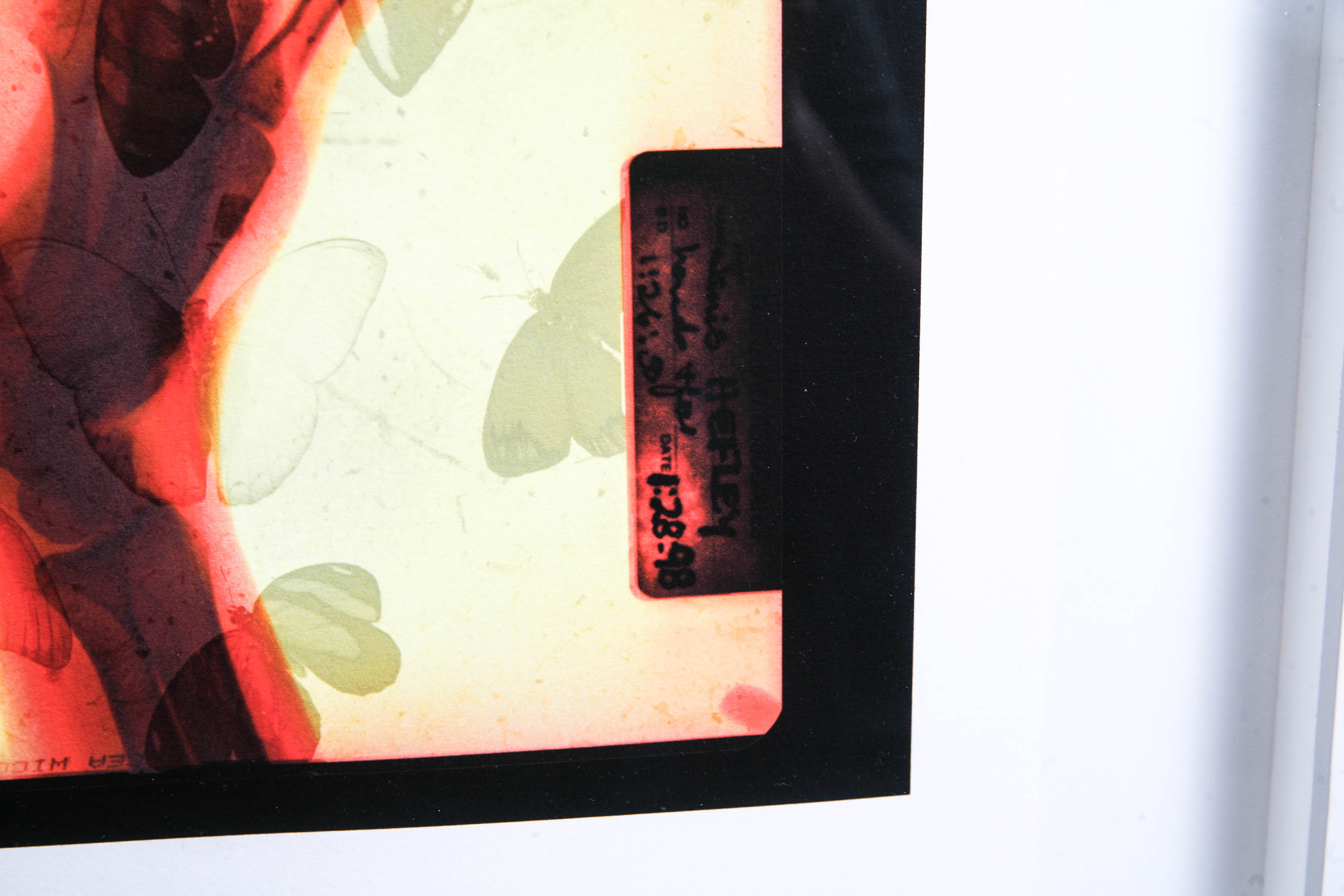 Modern Butterfly Print Shadowbox