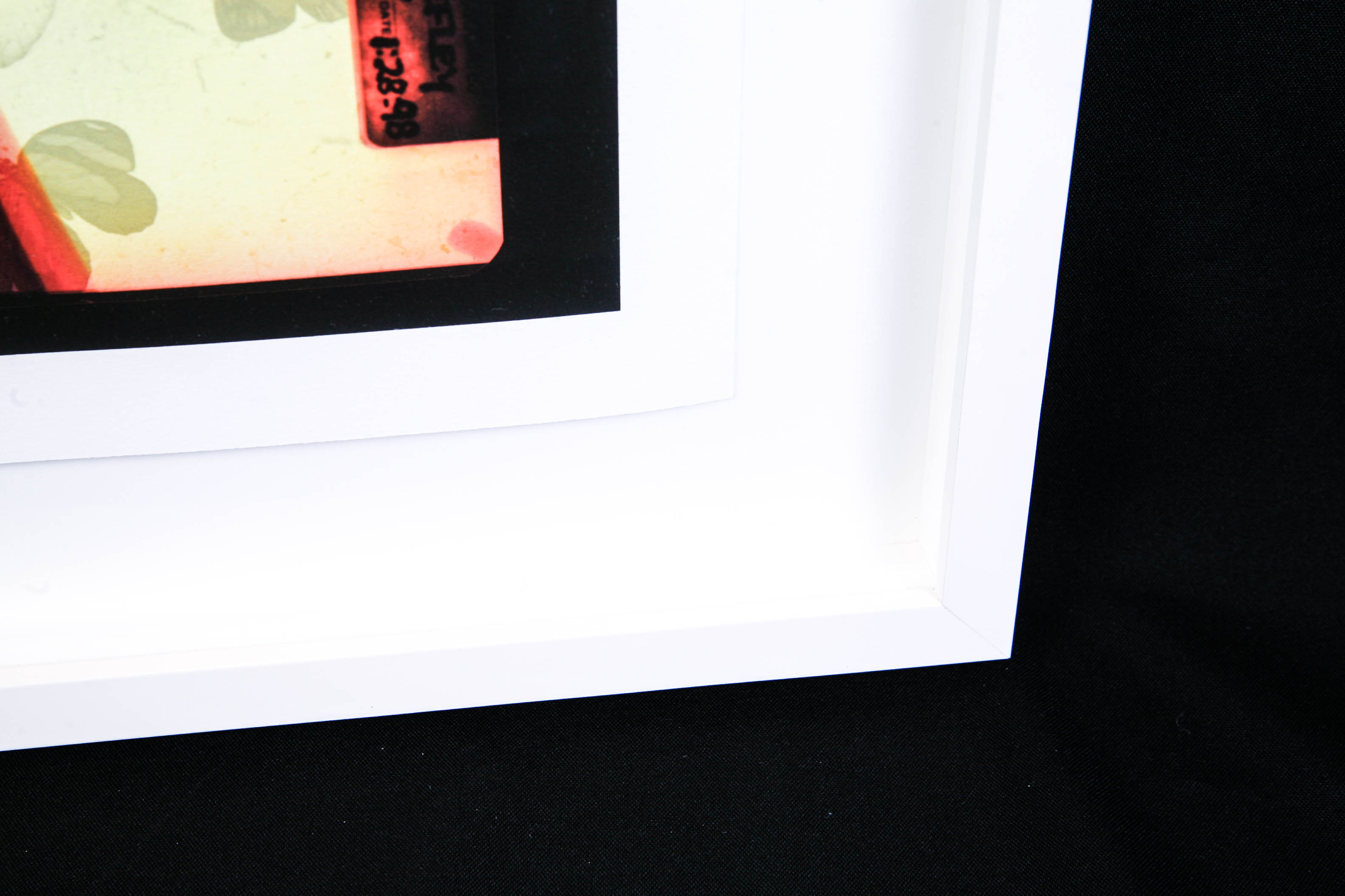 Modern Butterfly Print Shadowbox