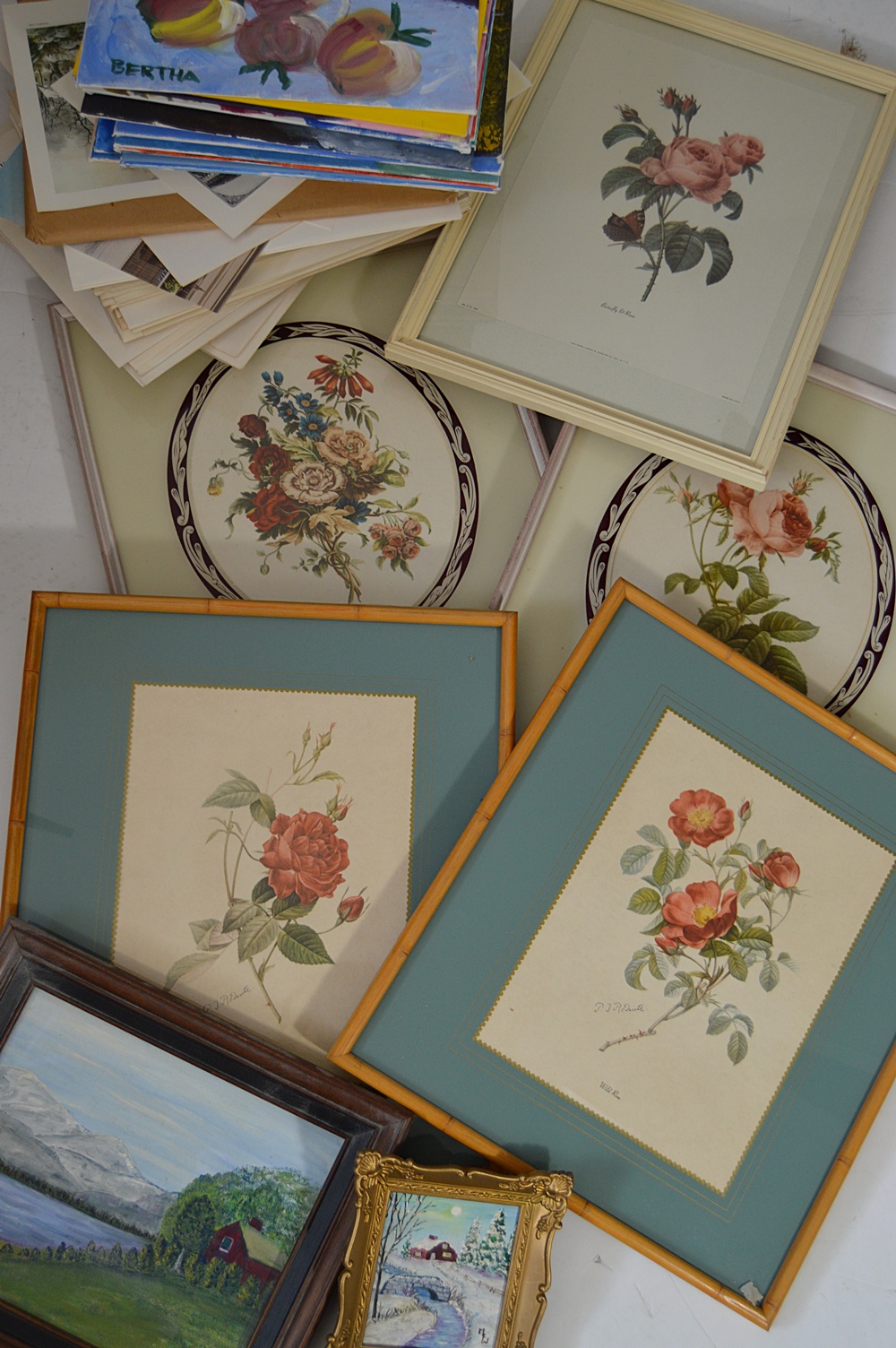Vintage Botanical Prints, Caroline Williams Prints, Original Paintings