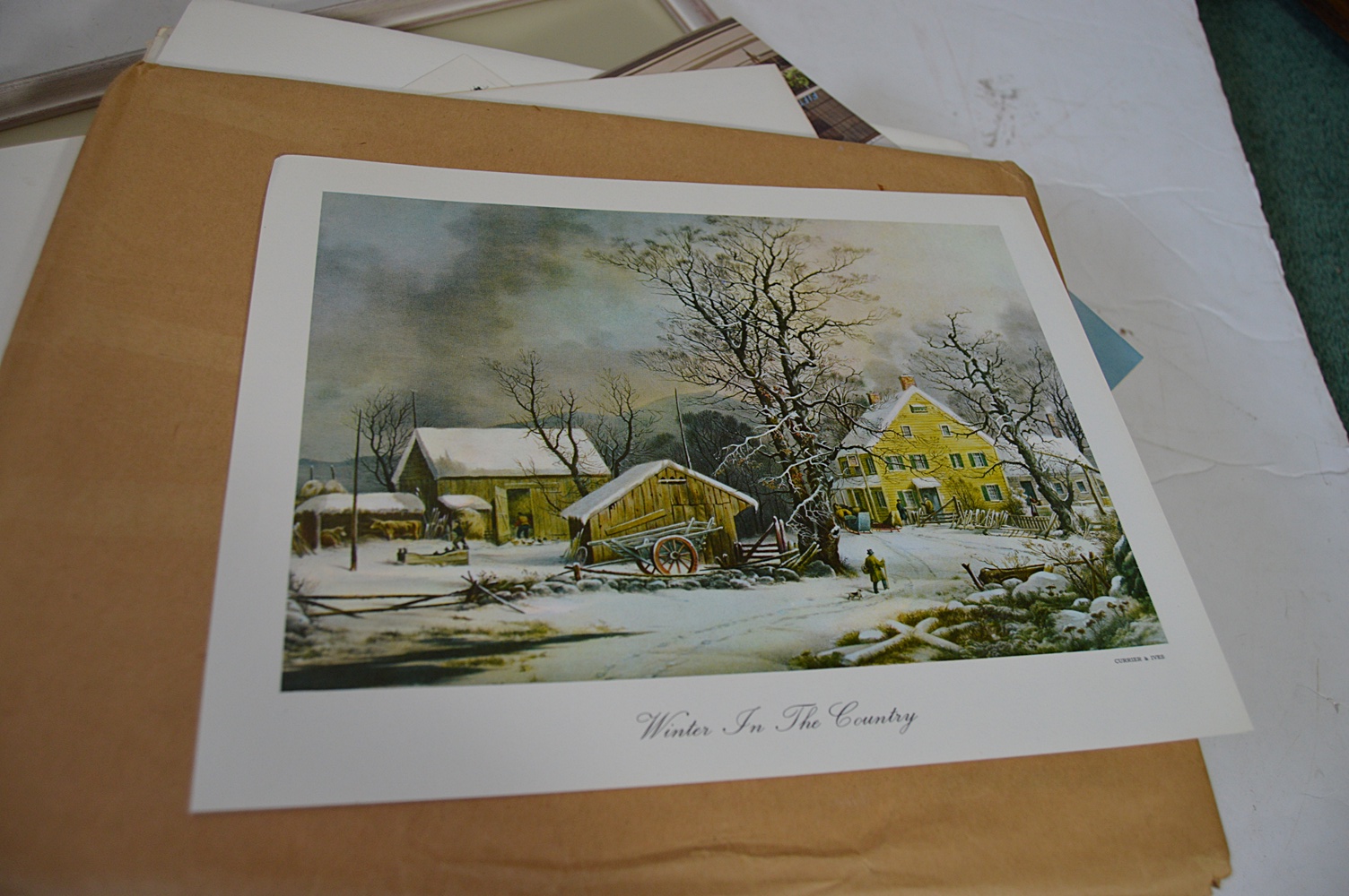 Vintage Botanical Prints, Caroline Williams Prints, Original Paintings