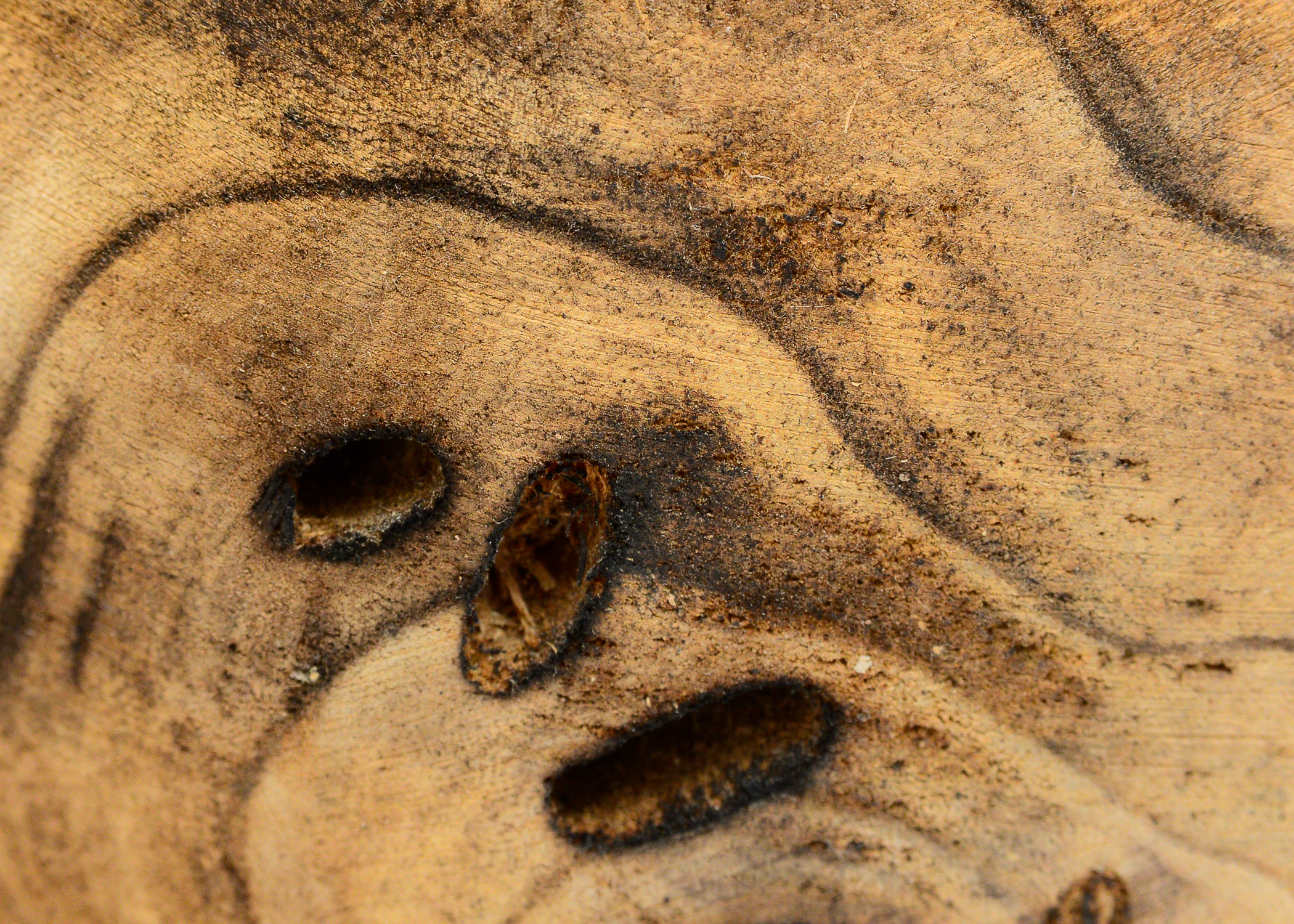 Decorative Wooden Ball