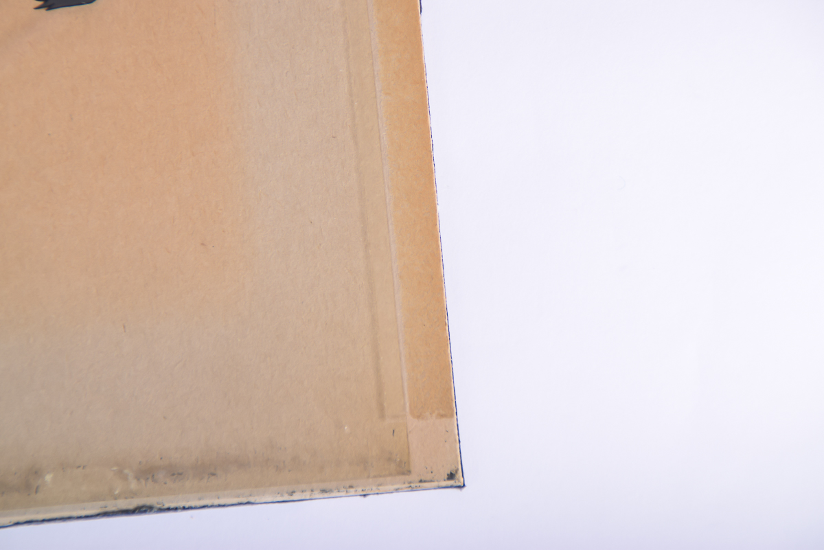 Walt Disney's "Lady and the Tramp" Celluloid