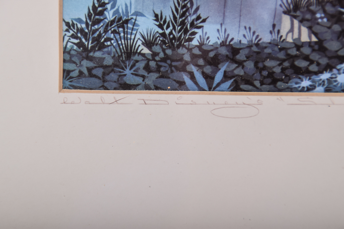 Walt Disney's "Sleeping Beauty" Dye Transfer Print