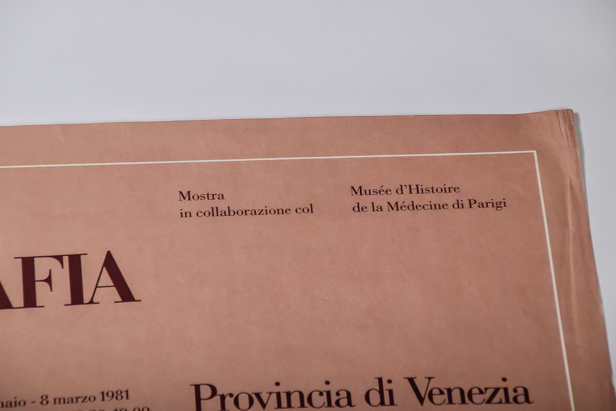 1981 La Biennale Psychiatric Photography Poster