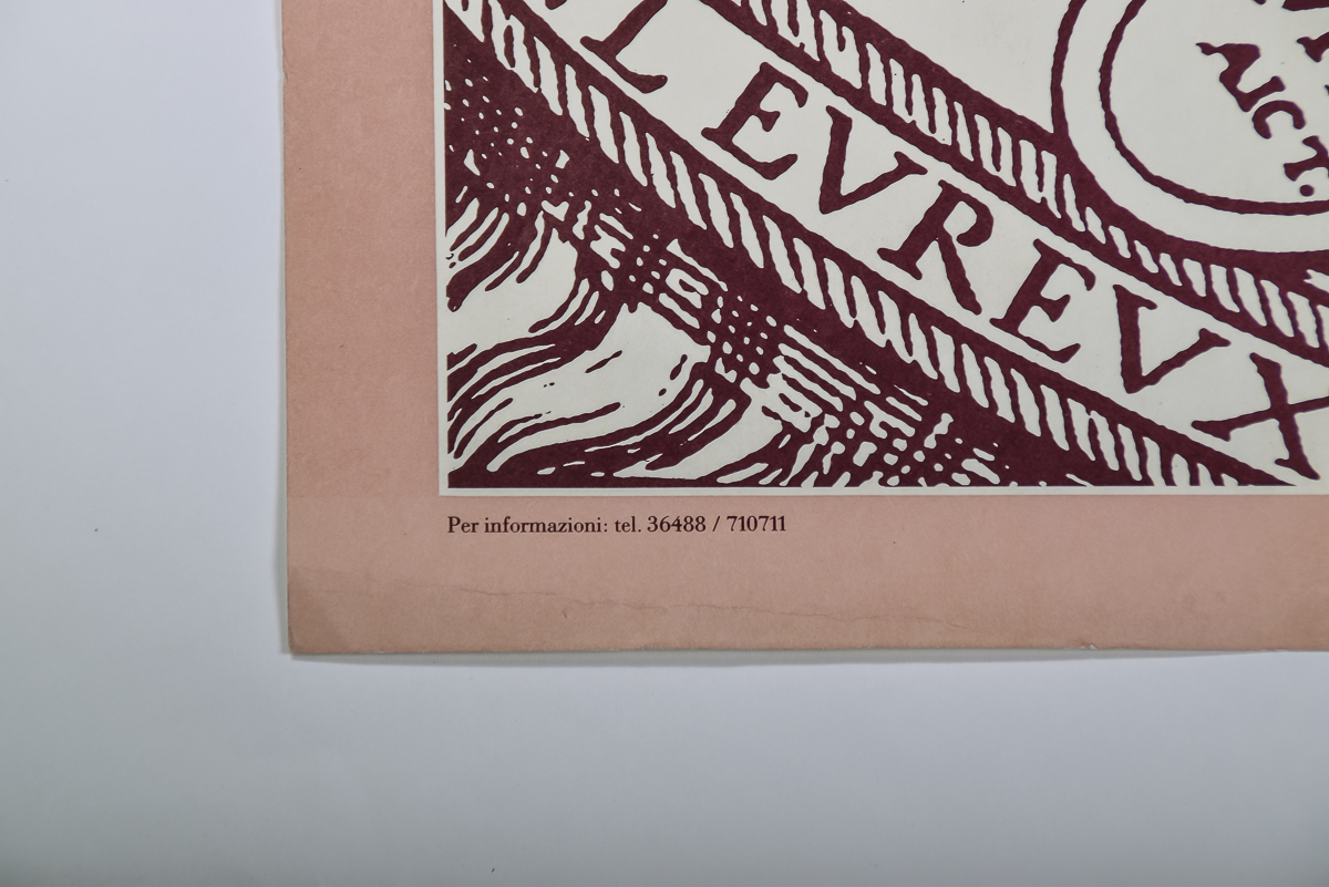 1981 La Biennale Psychiatric Photography Poster