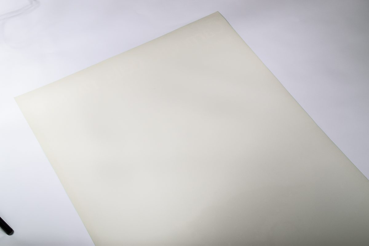 1981 Carnevale della ragione La Biennale Poster