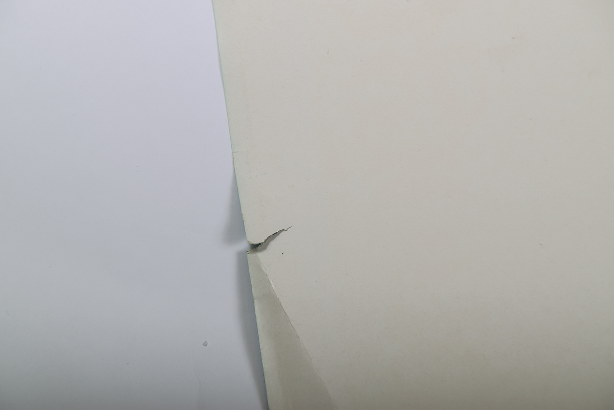 1981 Carnevale della ragione La Biennale Poster