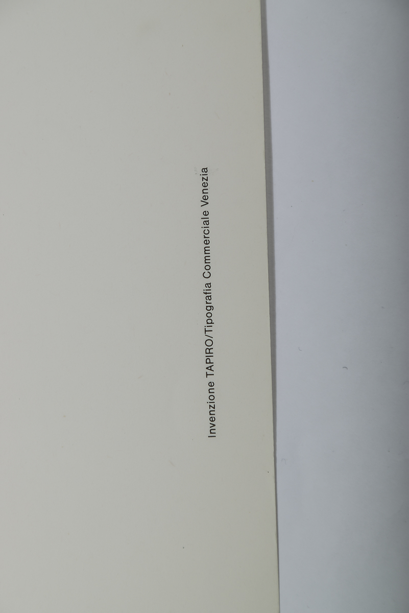 Pair of 1981 Comune di Venezia Photography Exhibit Posters