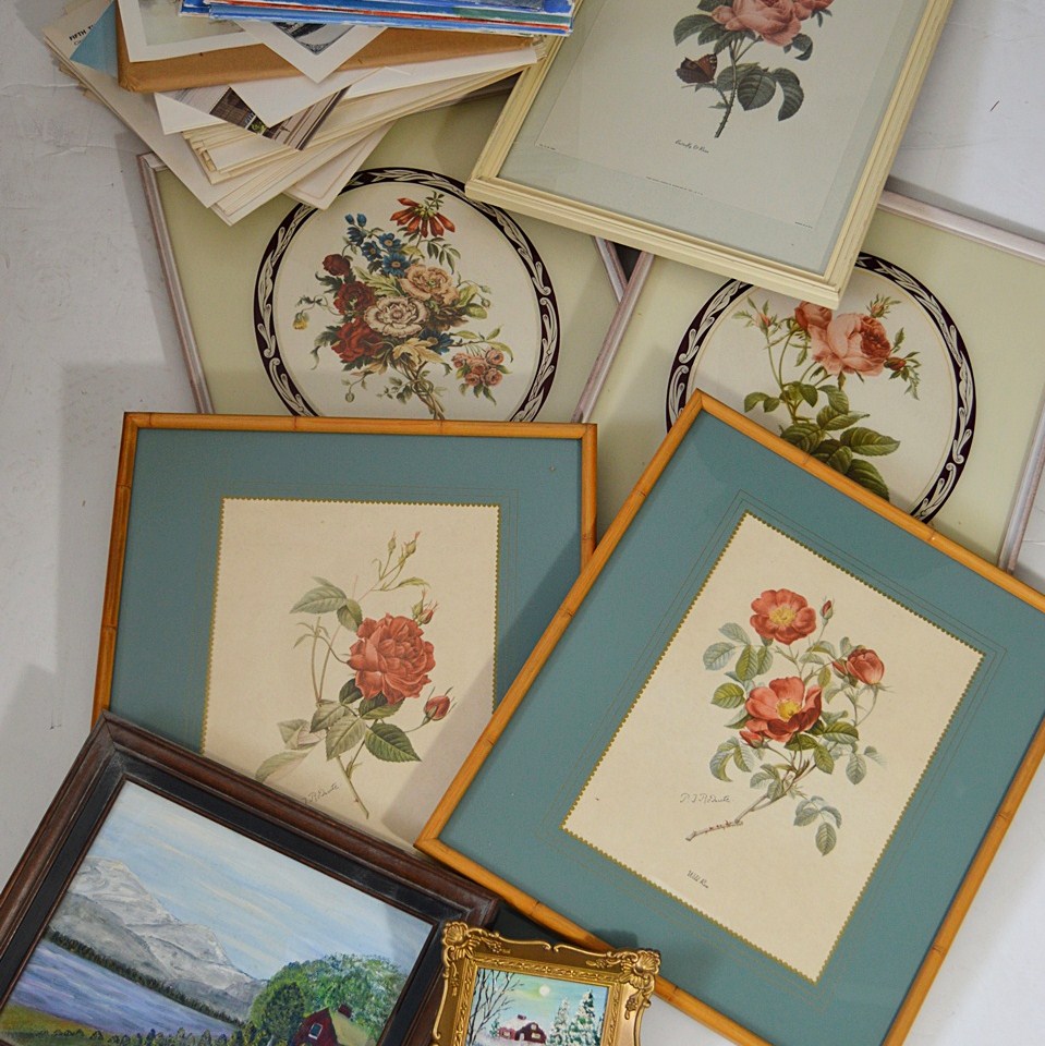 Vintage Botanical Prints, Caroline Williams Prints, Original Paintings