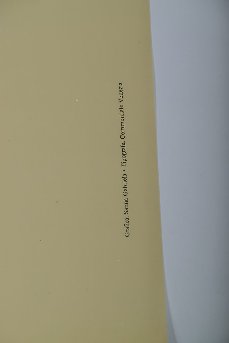 1981 Calotypes of French Society Art Poster