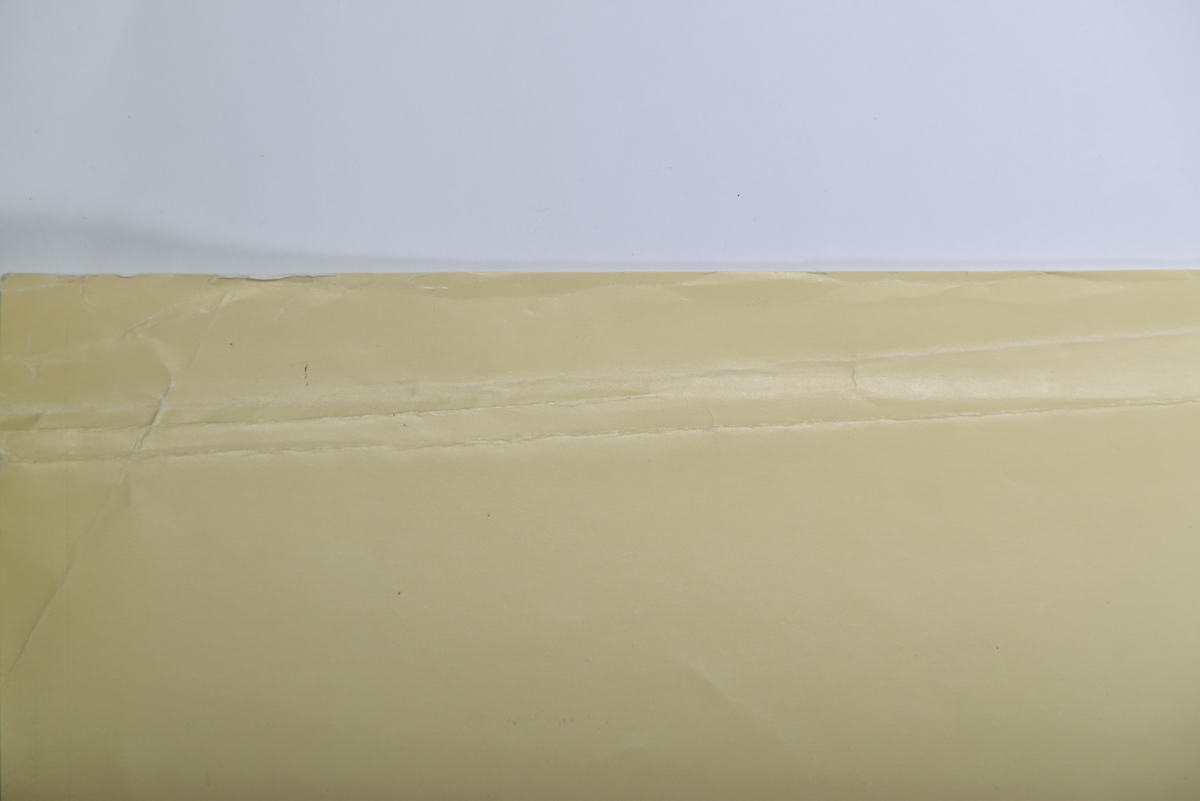 1981 Calotypes of French Society Art Poster