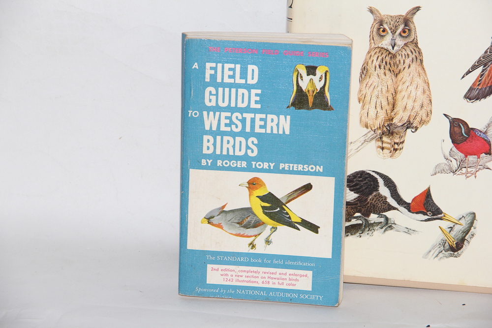 Collection of Bird Books