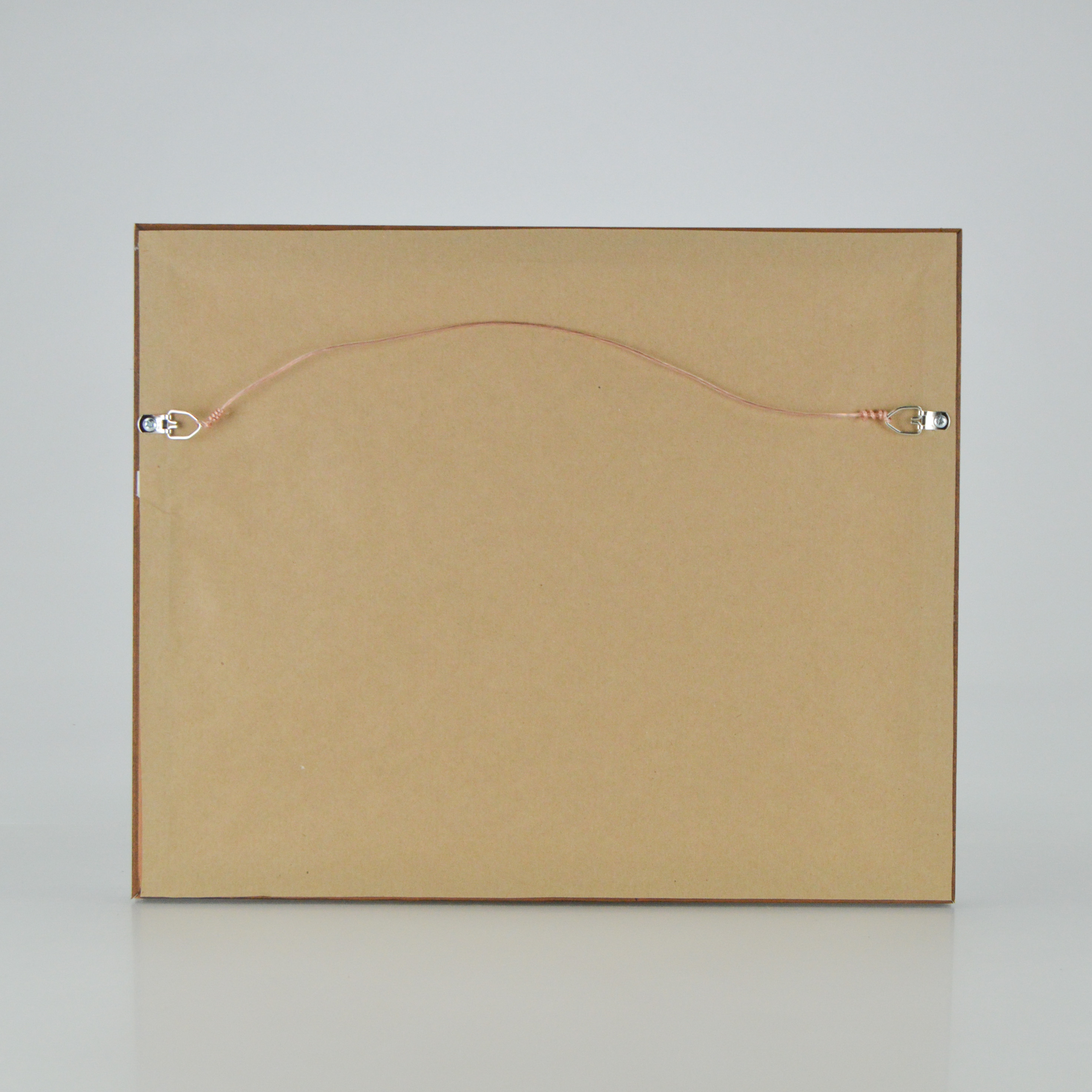 Original 1910 Map of the United States and Alaska Territory