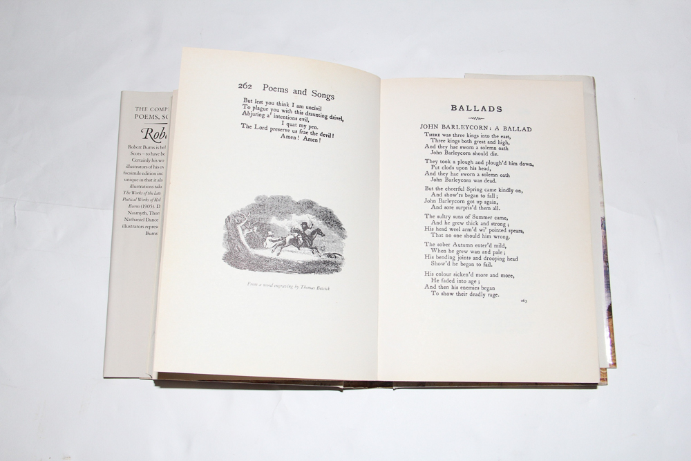 Collection of Poetry Books