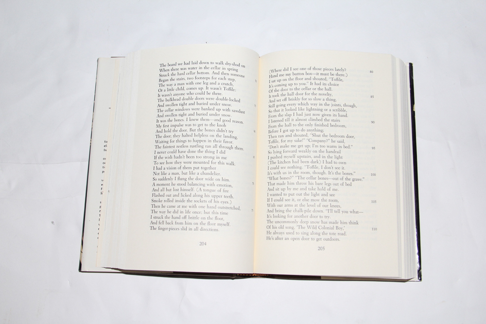 Collection of Poetry Books