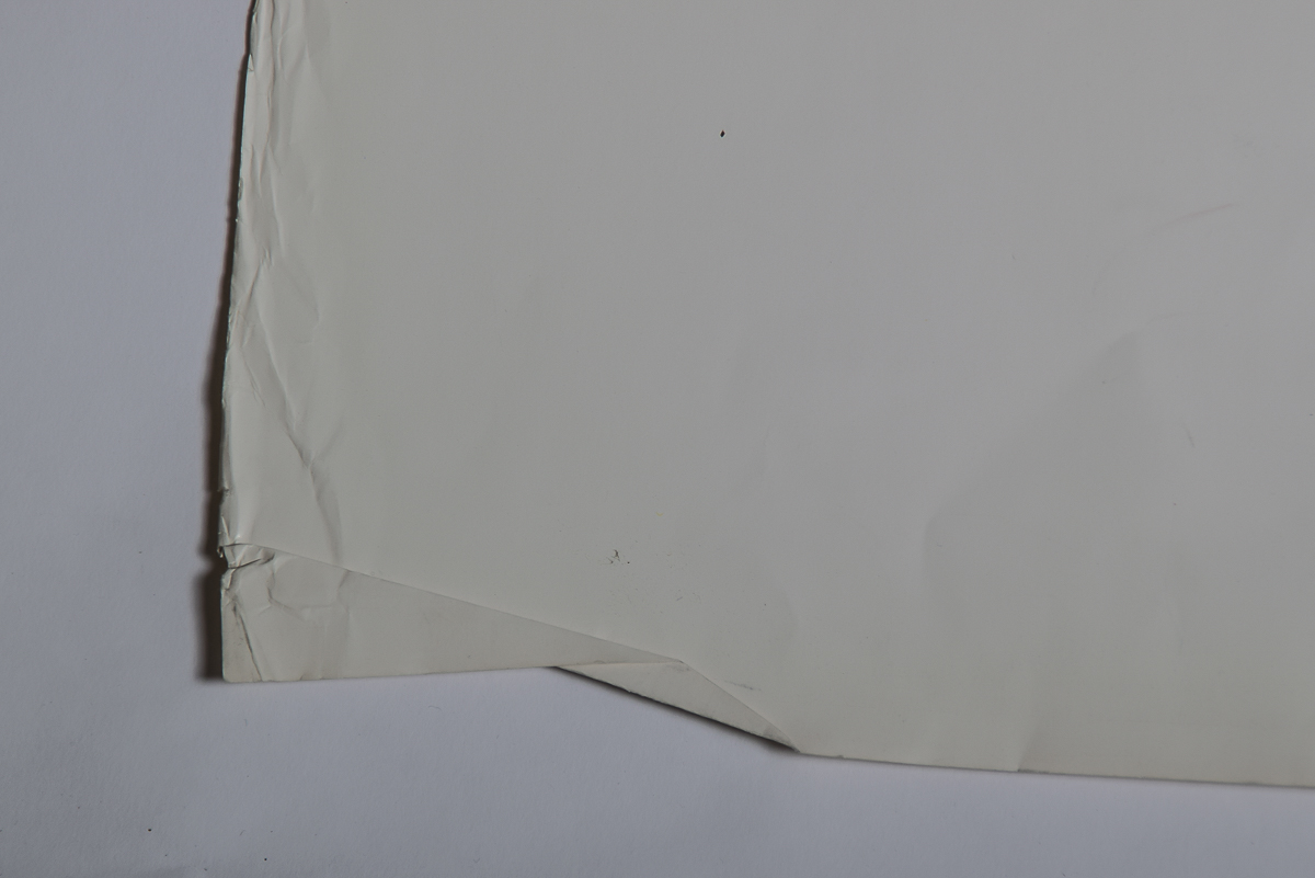 1981 Stagione Remiera Poster