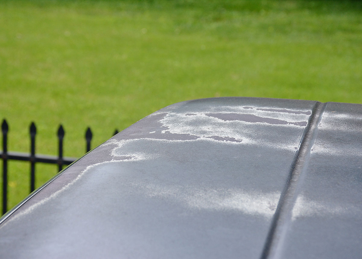 1988 Jeep Grand Wagoneer