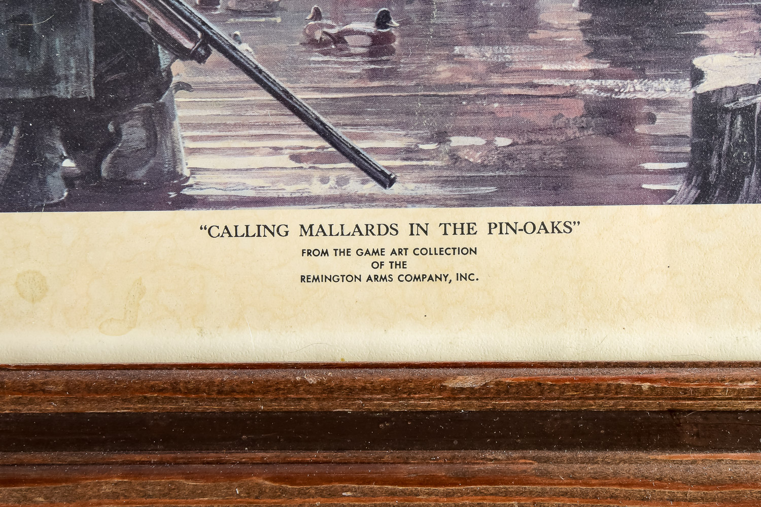 Duck Hunting Print Trio