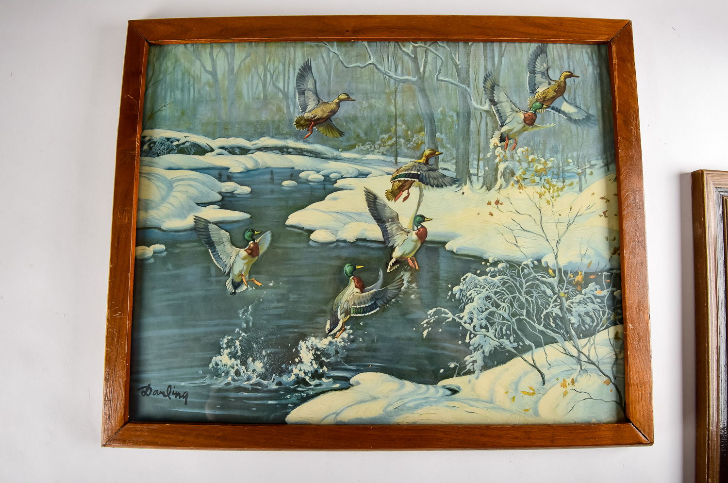 Duck Hunting Print Trio