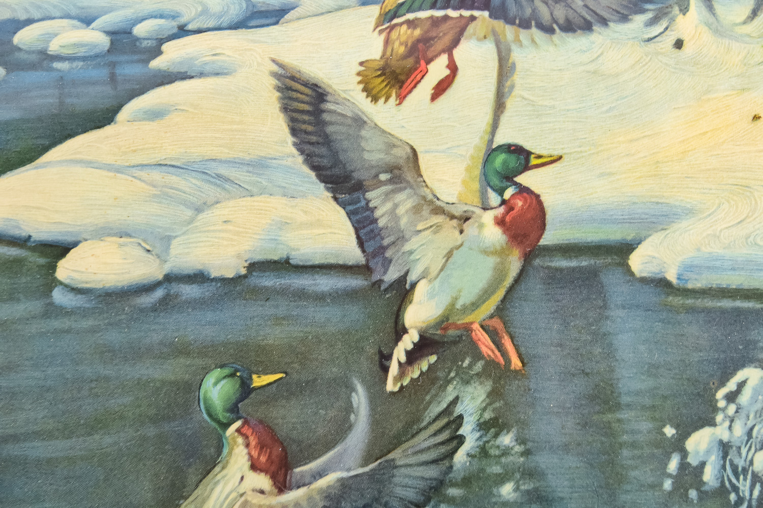 Duck Hunting Print Trio