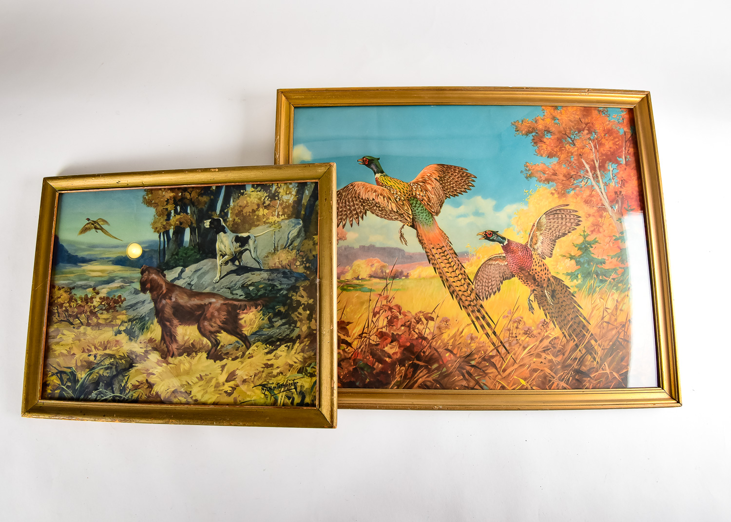 Pair of Pheasant Prints