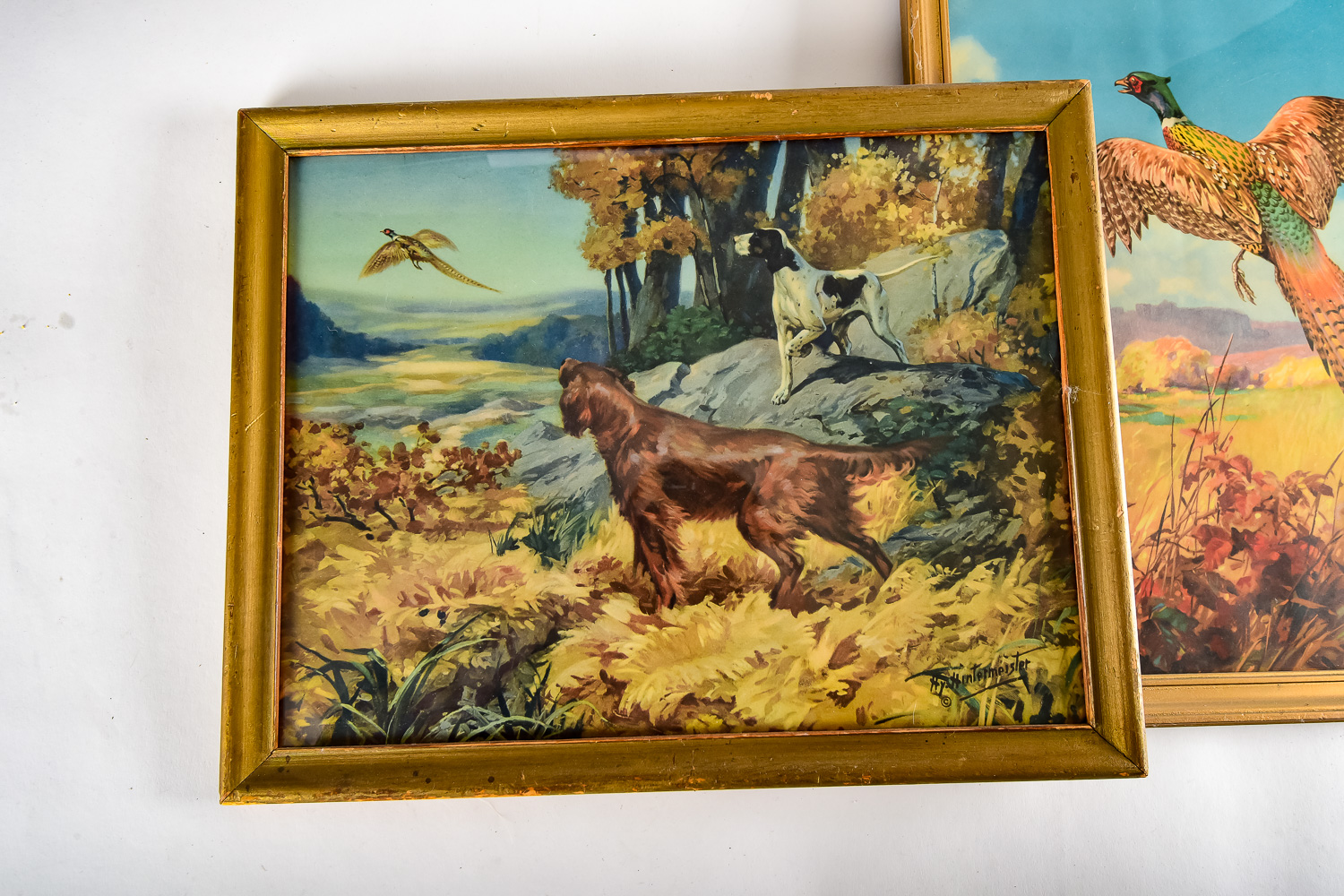 Pair of Pheasant Prints