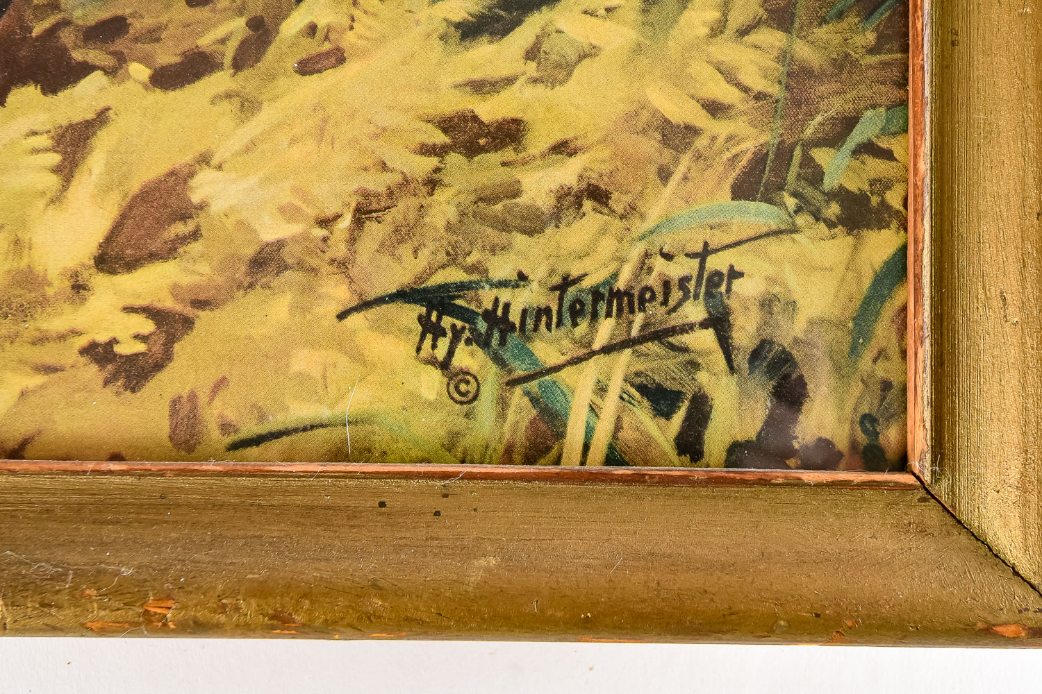 Pair of Pheasant Prints