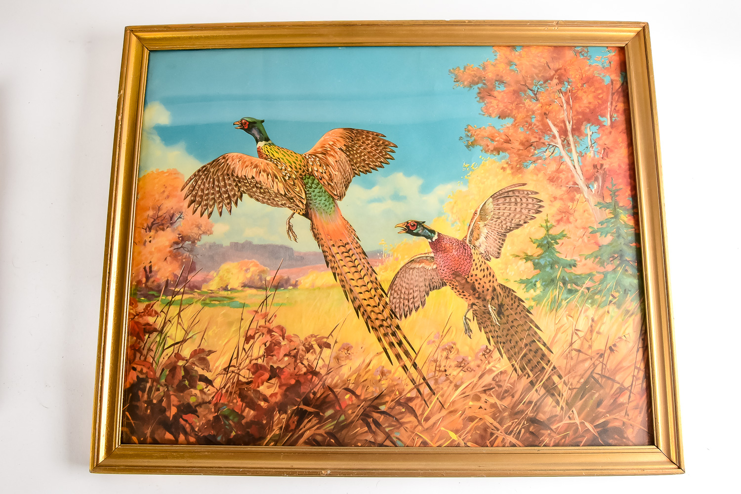 Pair of Pheasant Prints