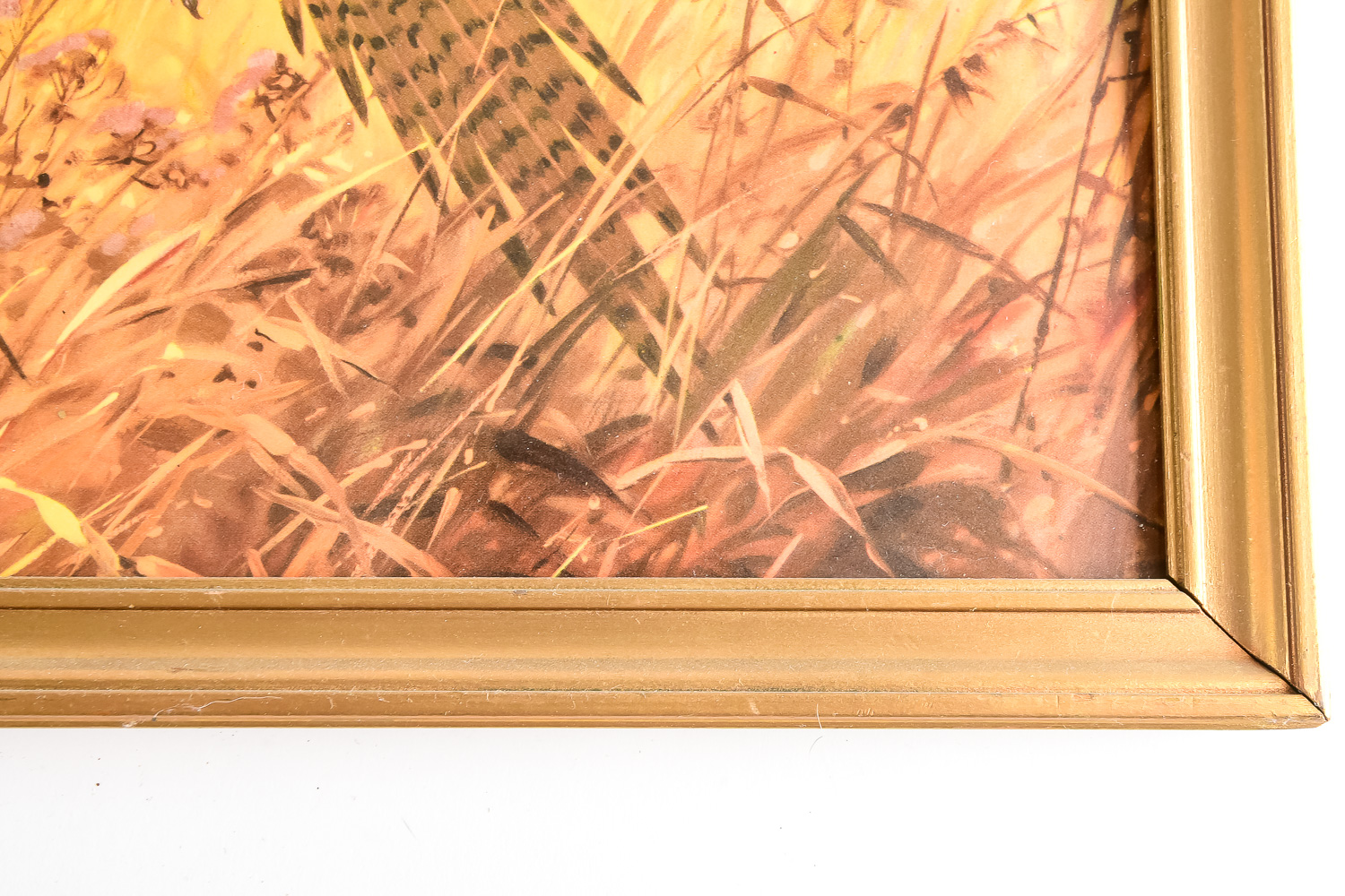 Pair of Pheasant Prints