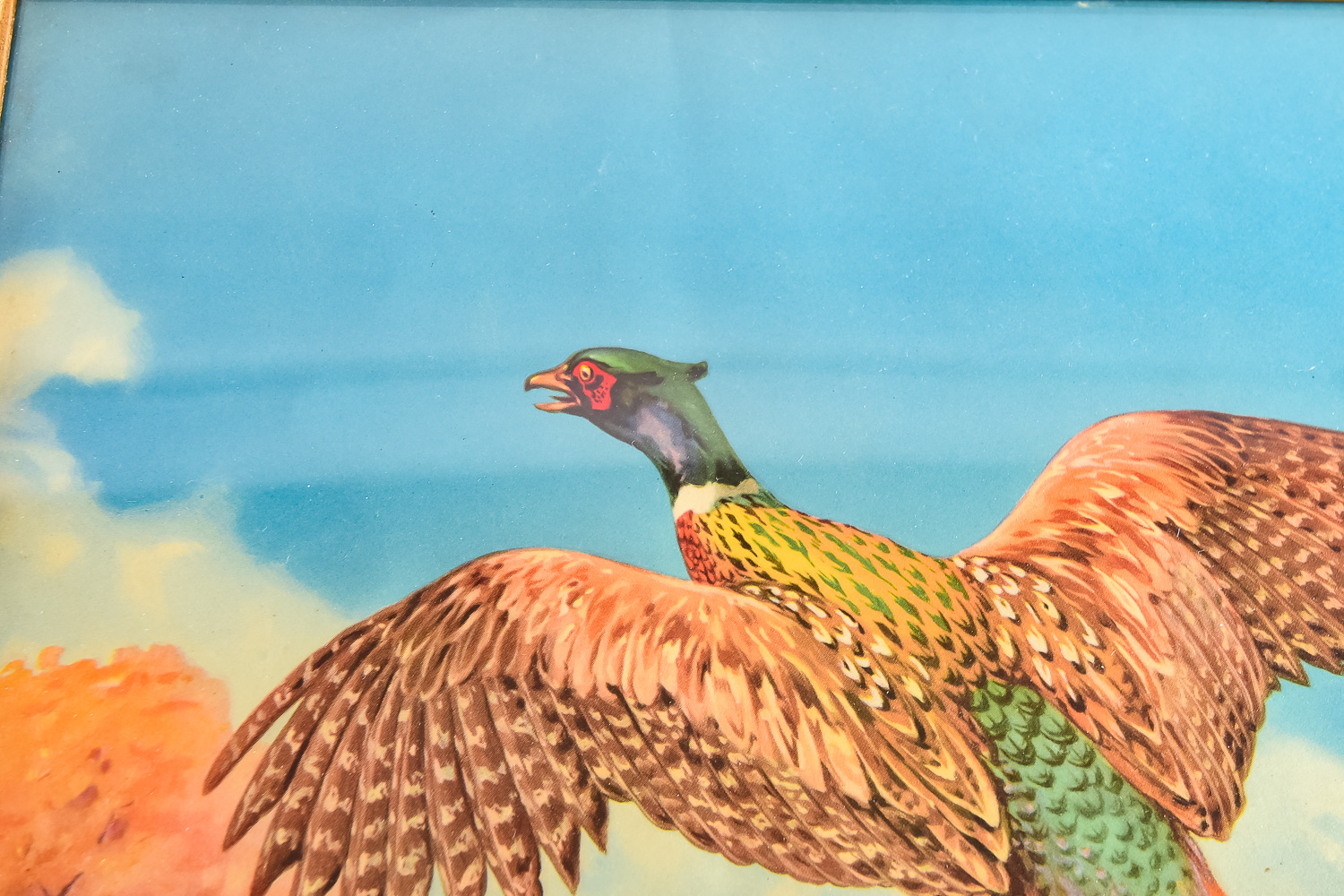 Pair of Pheasant Prints