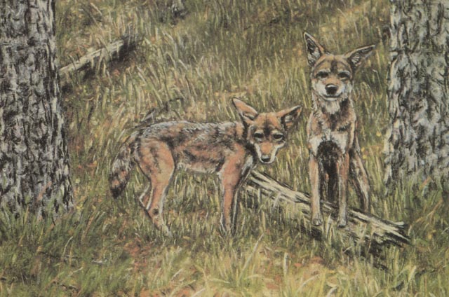Steve Jackson Signed LE Offset Lithograph "The Return - Red Wolf"
