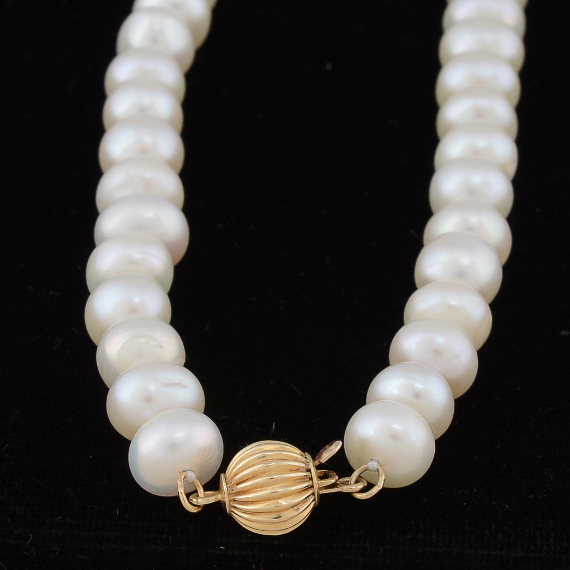 Freshwater Cultured Button Pearl Beaded Necklace with 14K Yellow Gold Clasp