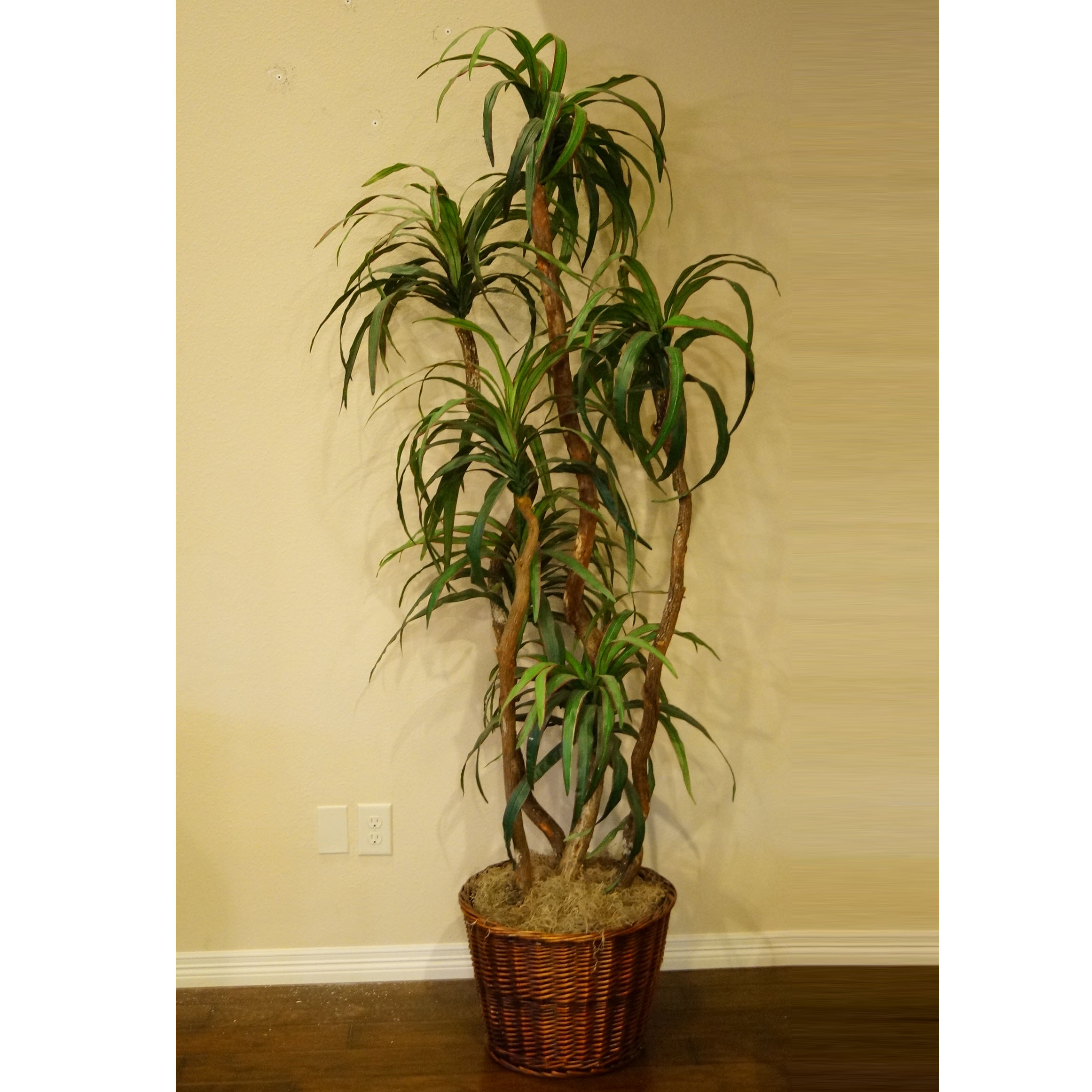 Large Faux Plant