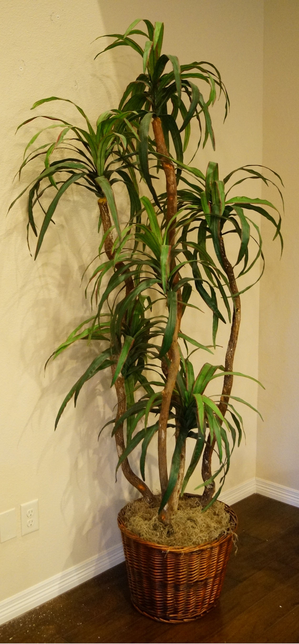Large Faux Plant