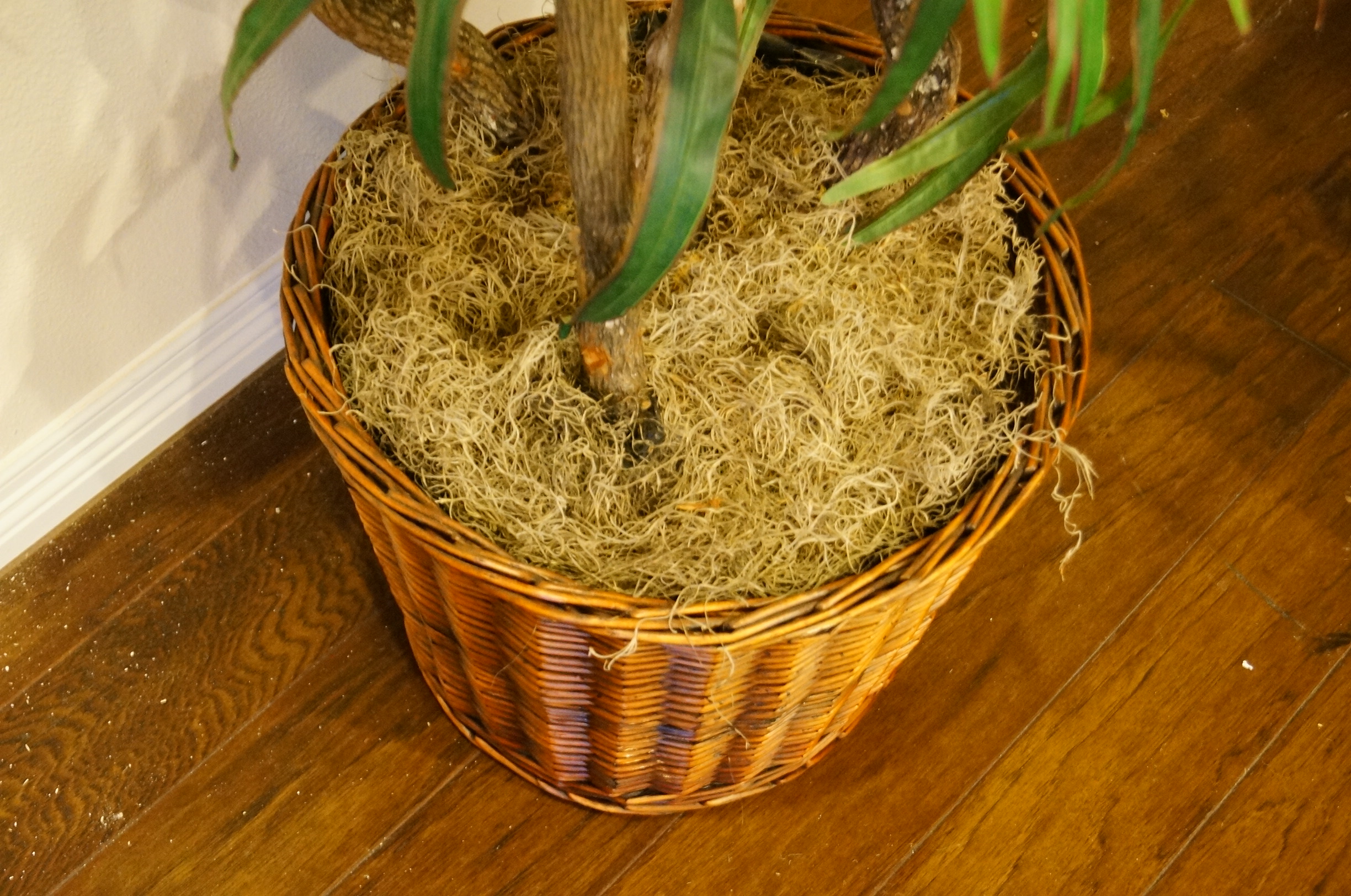 Large Faux Plant