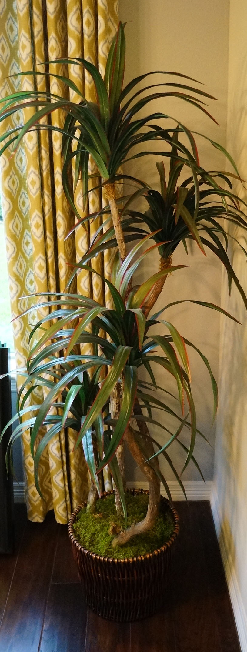 Artificial Plant