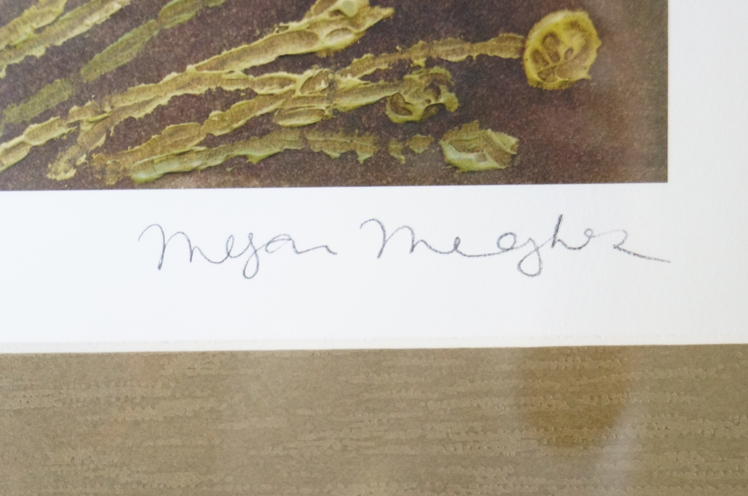 Framed Print of Flowers on Black Background