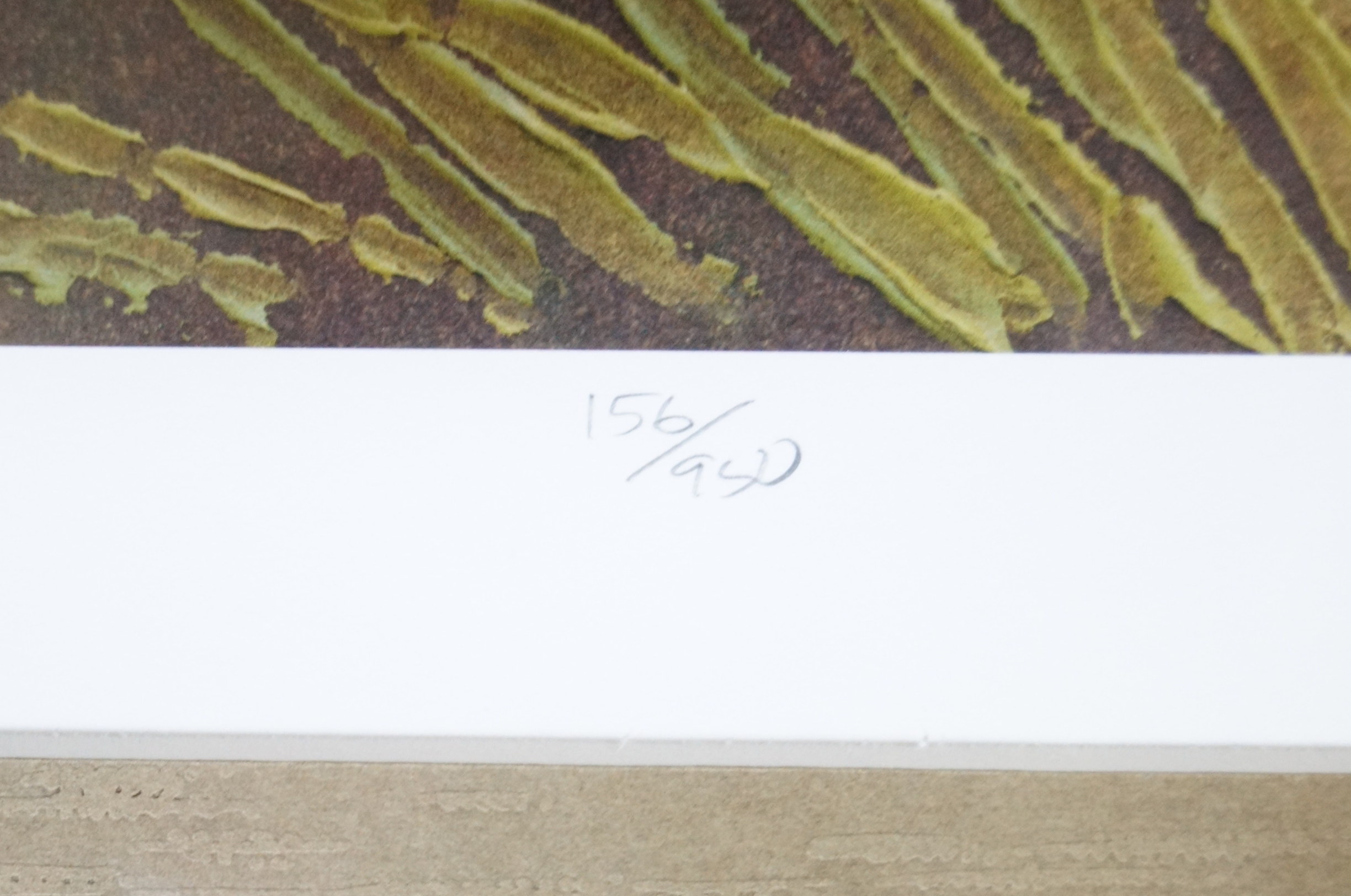 Framed Print of Flowers on Black Background