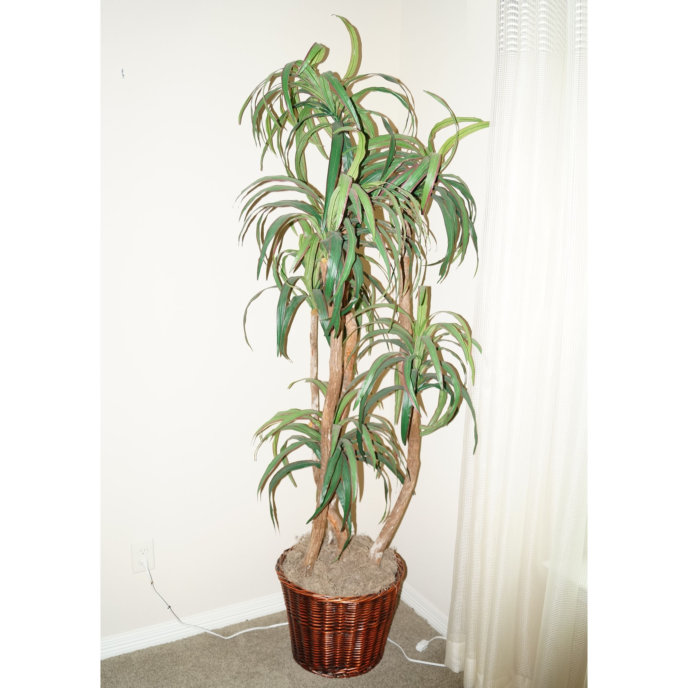 Tall Faux Tree in Woven Basket