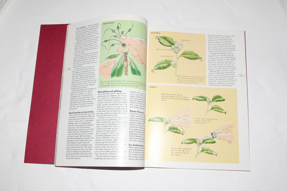 Collection of Gardening, Landscaping and Plant Books